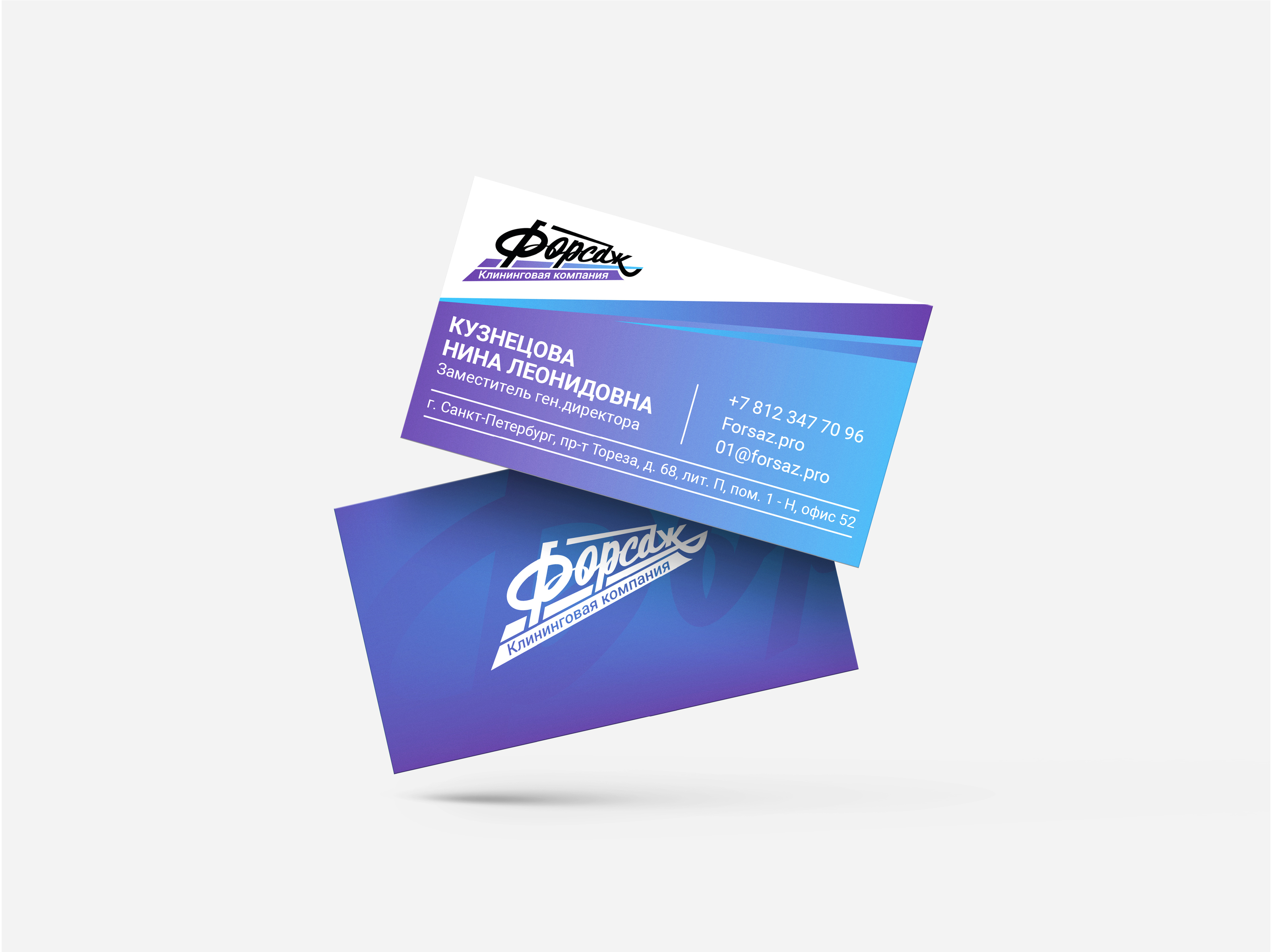 Форсаж. Клининговая компания — Изображение №8 — Брендинг, Графика на Dprofile