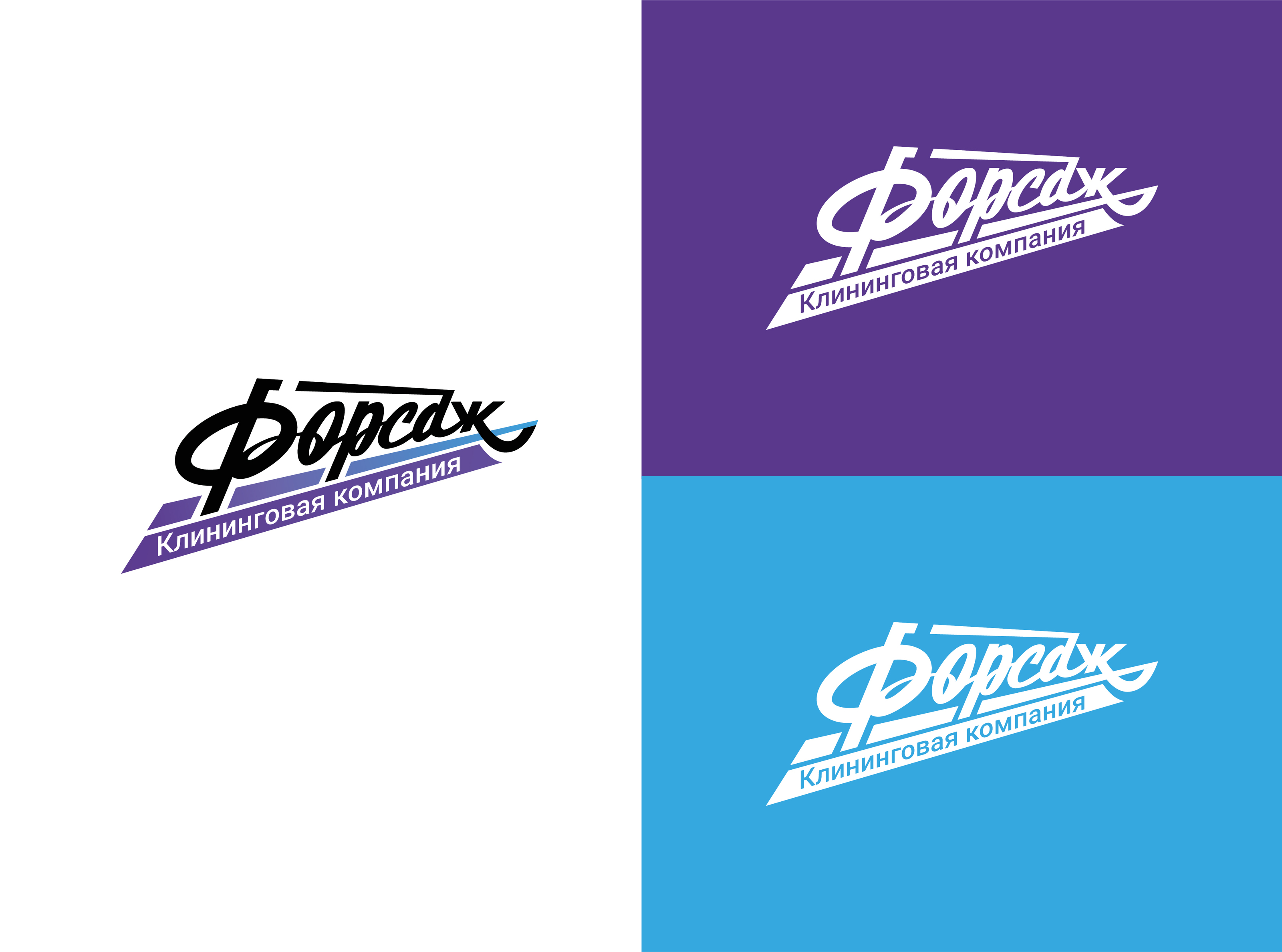 Форсаж. Клининговая компания — Изображение №2 — Брендинг, Графика на Dprofile