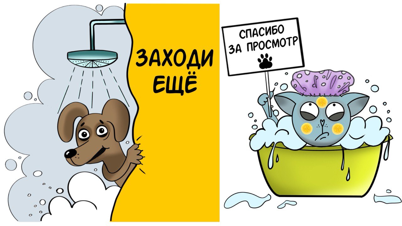 Шампунь для животных — Изображение №6 — Брендинг, Иллюстрация на Dprofile
