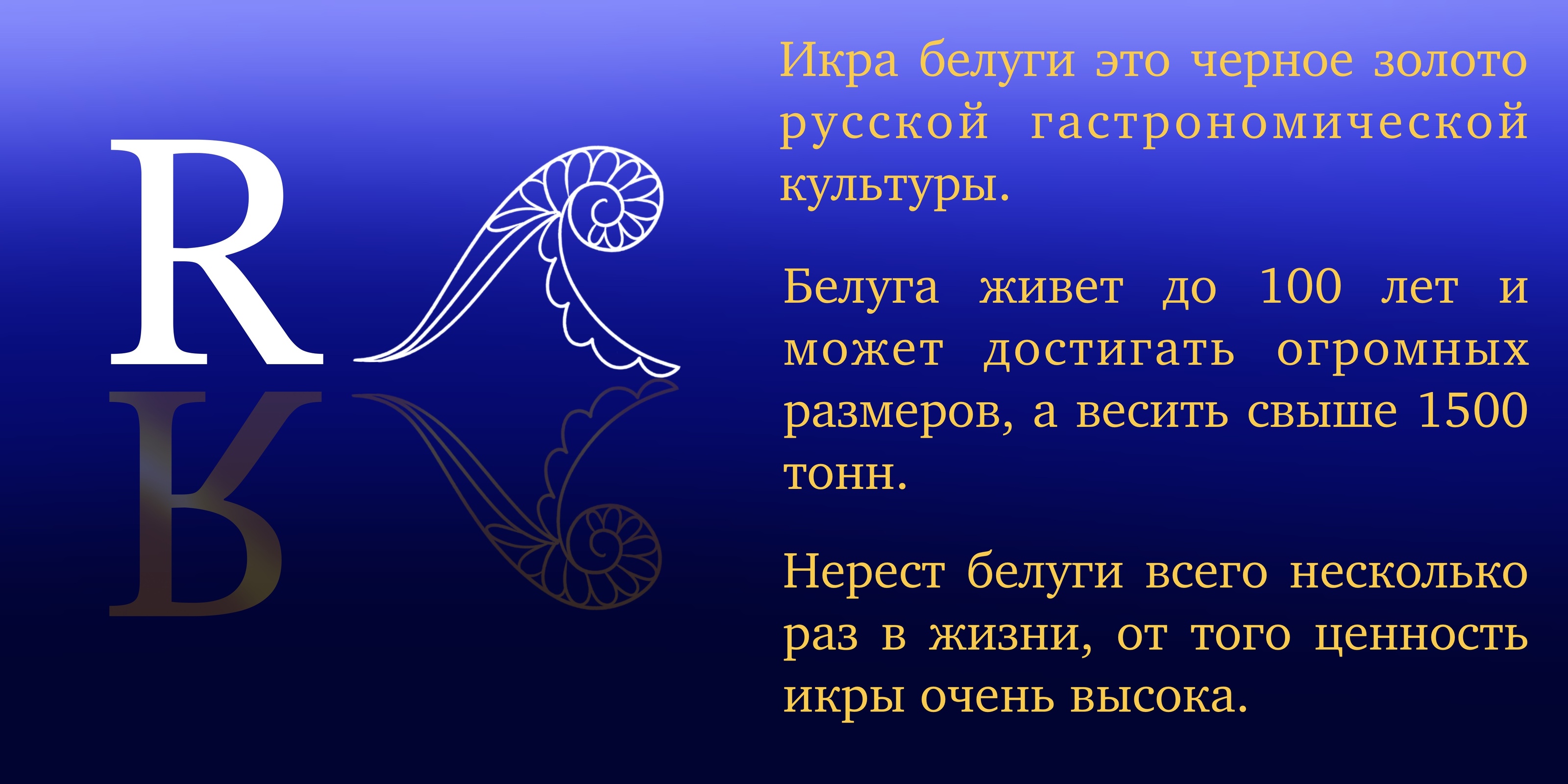 Бренд Русская икра — Изображение №3 — Брендинг, Маркетинг на Dprofile