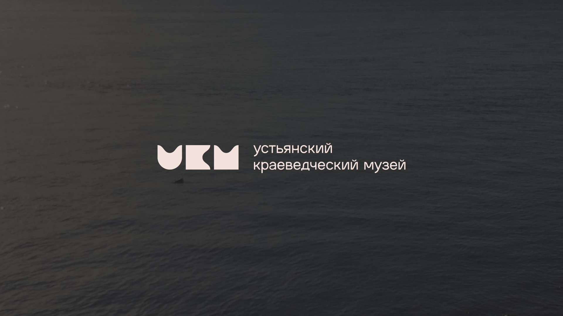Устьянский краеведческий музей — Изображение №1 — Брендинг, Графика на Dprofile
