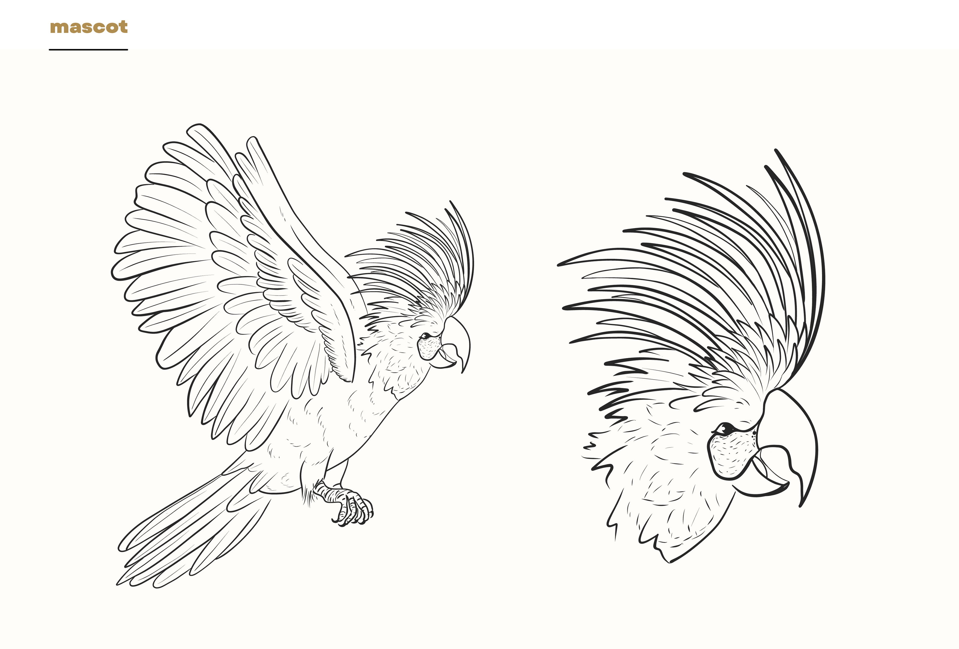 Pirate's Parrot. Beer packaging design. Concept — Изображение №10 — Брендинг, Иллюстрация на Dprofile