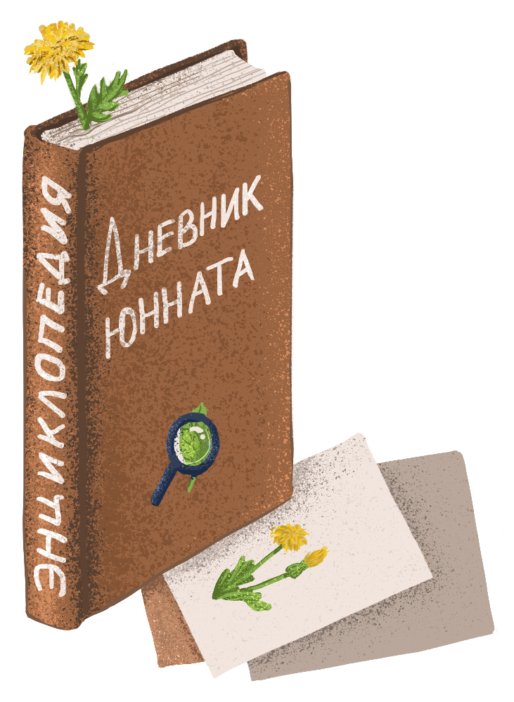 СТИКЕРПАК на тему ботаники | STICKERS — Изображение №5 — Иллюстрация на Dprofile