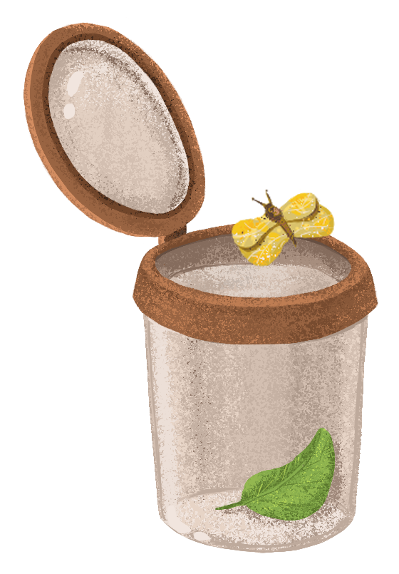 СТИКЕРПАК на тему ботаники | STICKERS — Изображение №9 — Иллюстрация на Dprofile