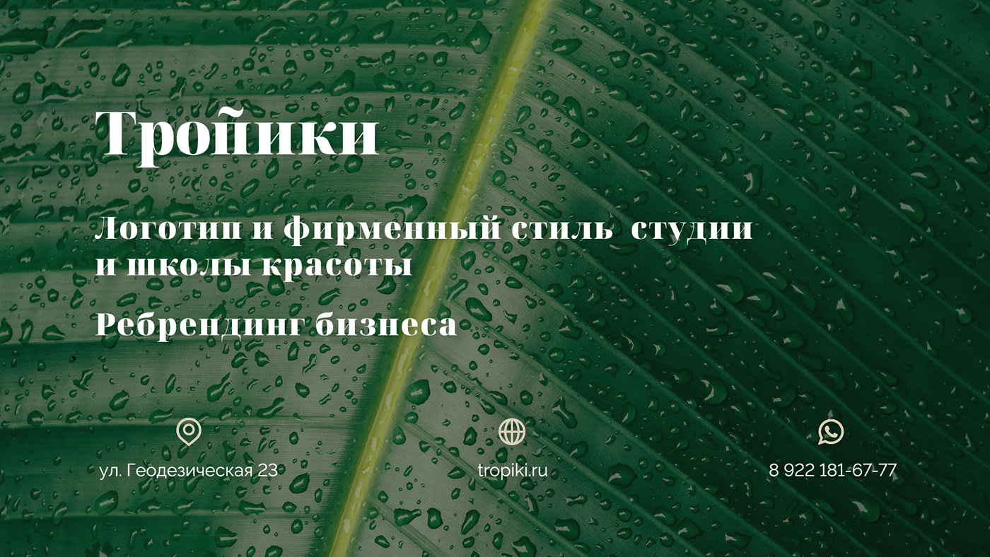 Логотип и фирменный стиль студии и школы красоты — Изображение №1 — Брендинг, Графика на Dprofile