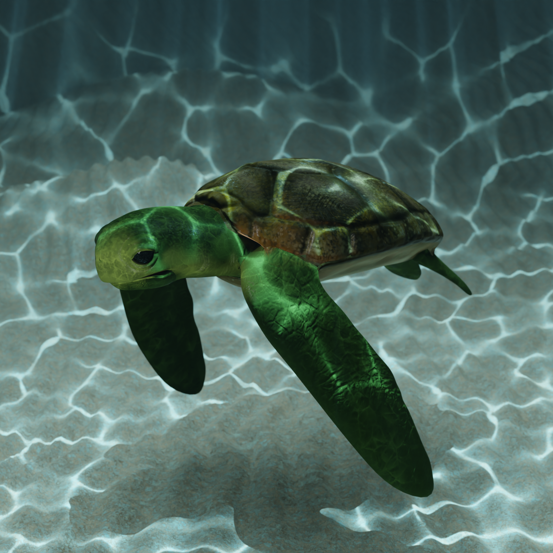 CinematicTurtle — Изображение №1 — Графика, Анимация на Dprofile