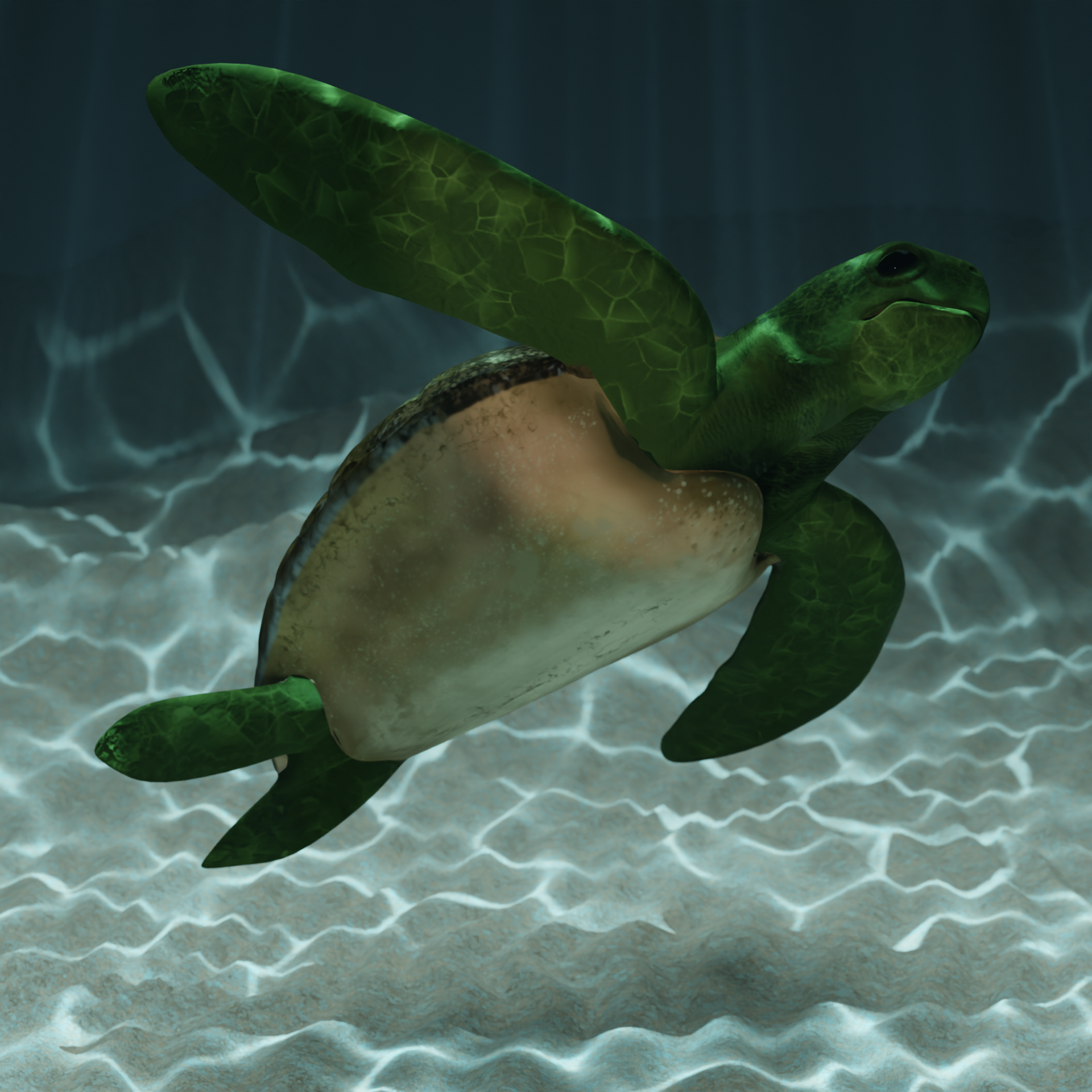 CinematicTurtle — Изображение №4 — Графика, Анимация на Dprofile