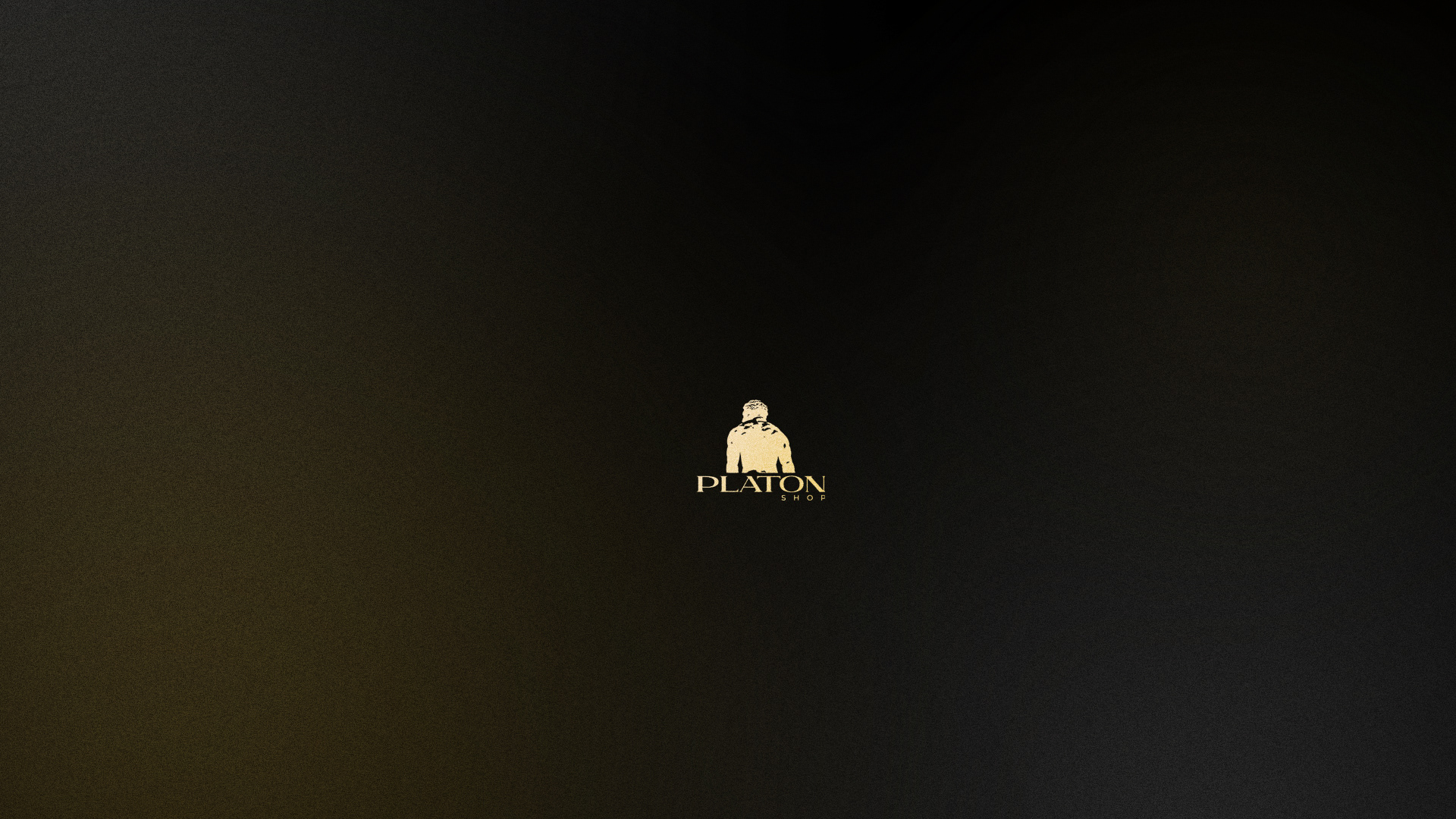 PLATON SHOP – BRAND IDENTITY — Изображение №5 — Брендинг на Dprofile