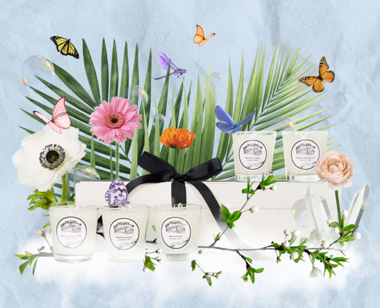 Windsor`s Soap beauty spring digital campaign — Иллюстрация, Анимация на Dprofile