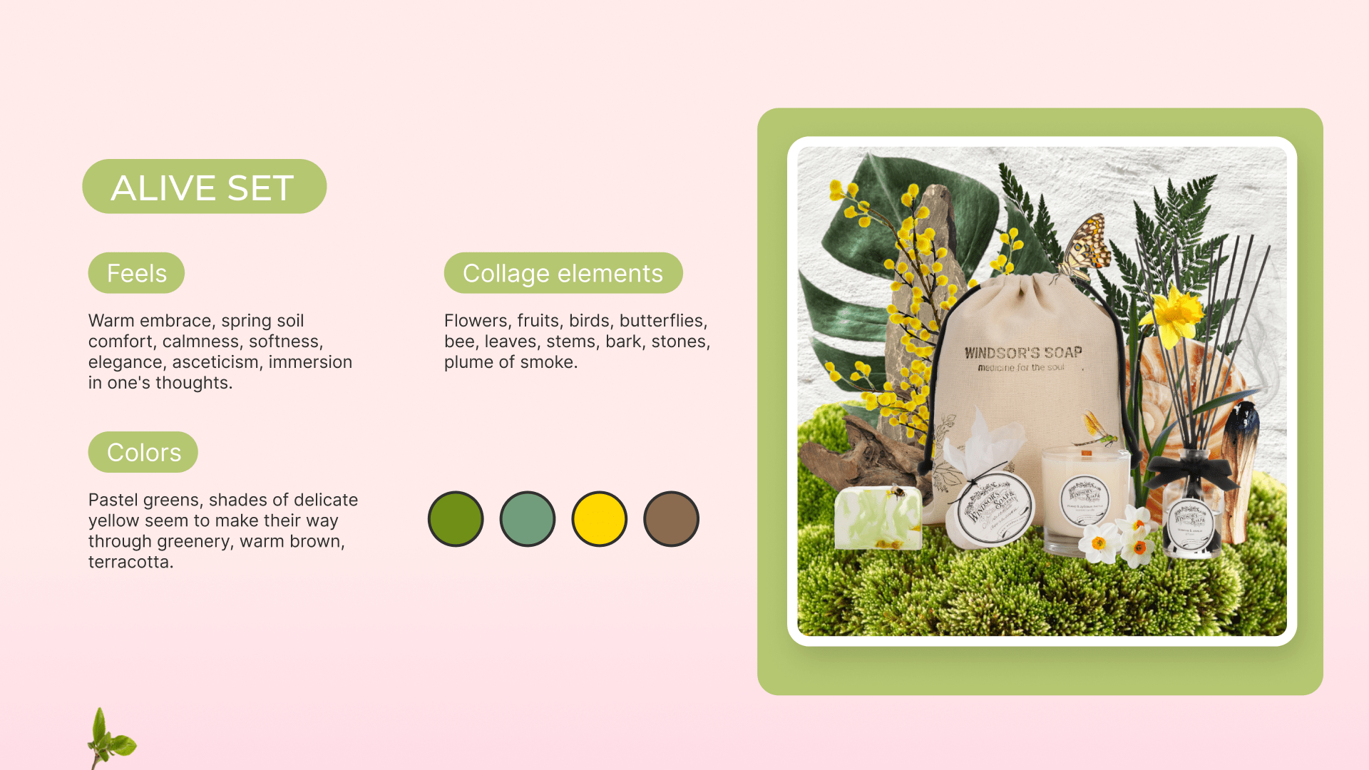 Windsor`s Soap beauty spring digital campaign — Изображение №4 — Иллюстрация, Анимация на Dprofile