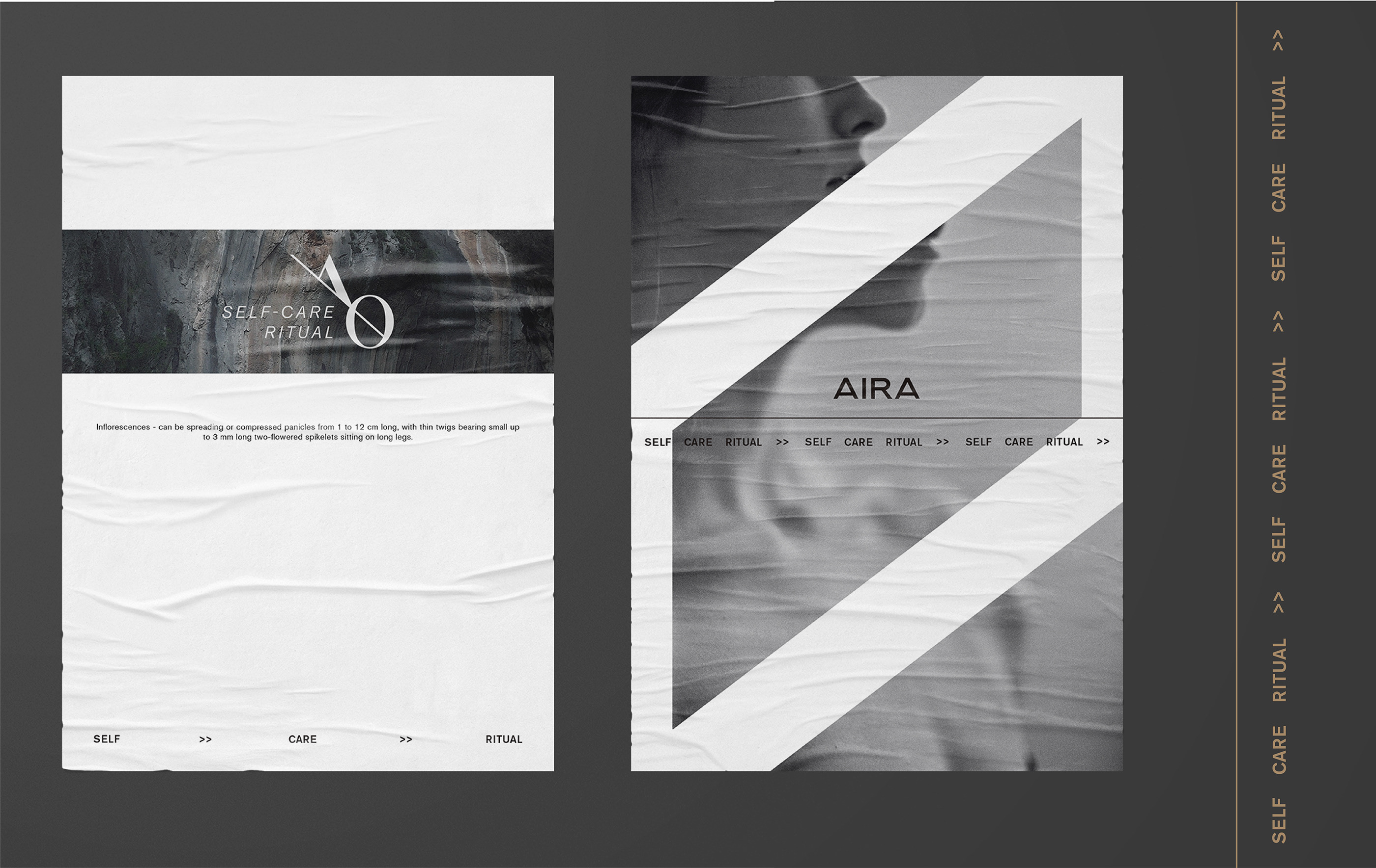 AIRA. АЙДЕНТИКА И ДИЗАЙН УПАКОВКИ — Изображение №14 — Брендинг, Графика на Dprofile