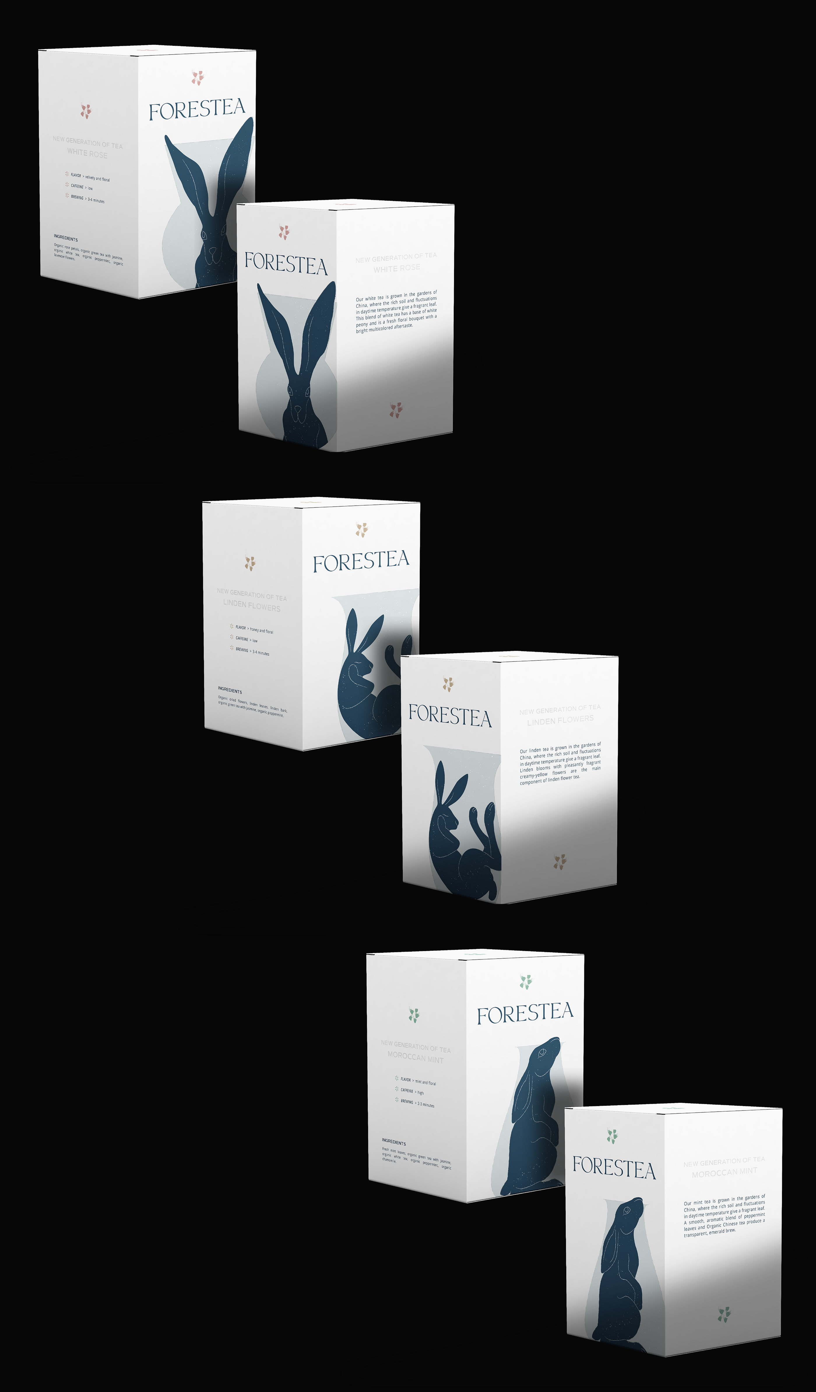 FORESTEA. АЙДЕНТИКА ЧАЙНОГО БРЕНДА — Изображение №6 — Брендинг, Графика на Dprofile