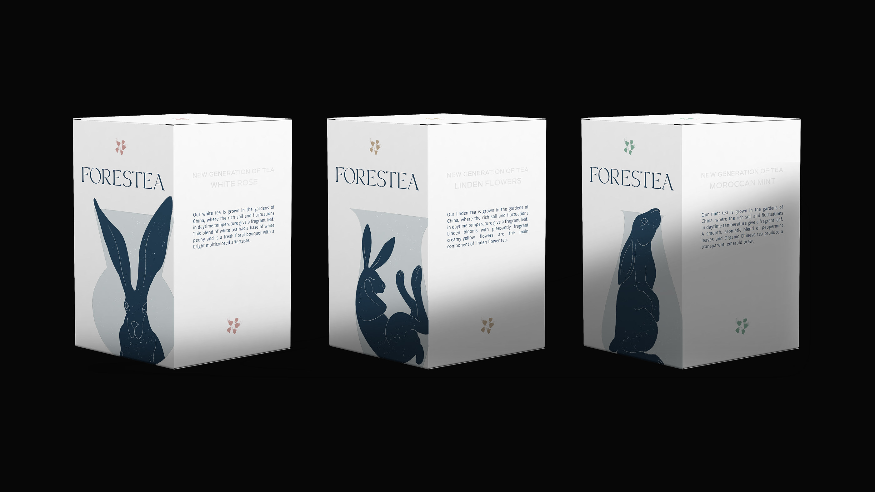 FORESTEA. АЙДЕНТИКА ЧАЙНОГО БРЕНДА — Изображение №5 — Брендинг, Графика на Dprofile