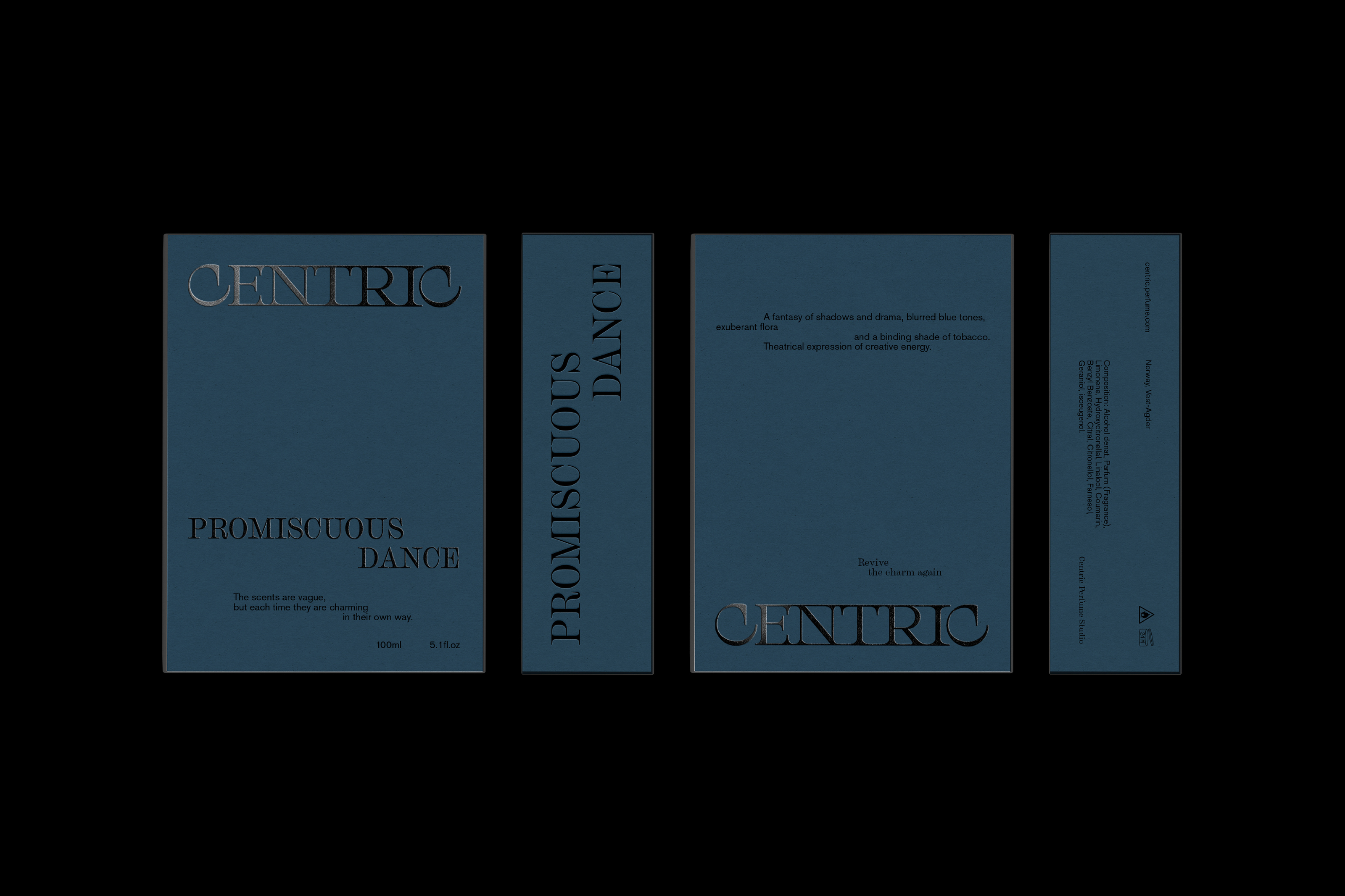 CENTRIC. БРЕНДИНГ. ДИЗАЙН УПАКОВКИ — Изображение №13 — Брендинг, Графика на Dprofile