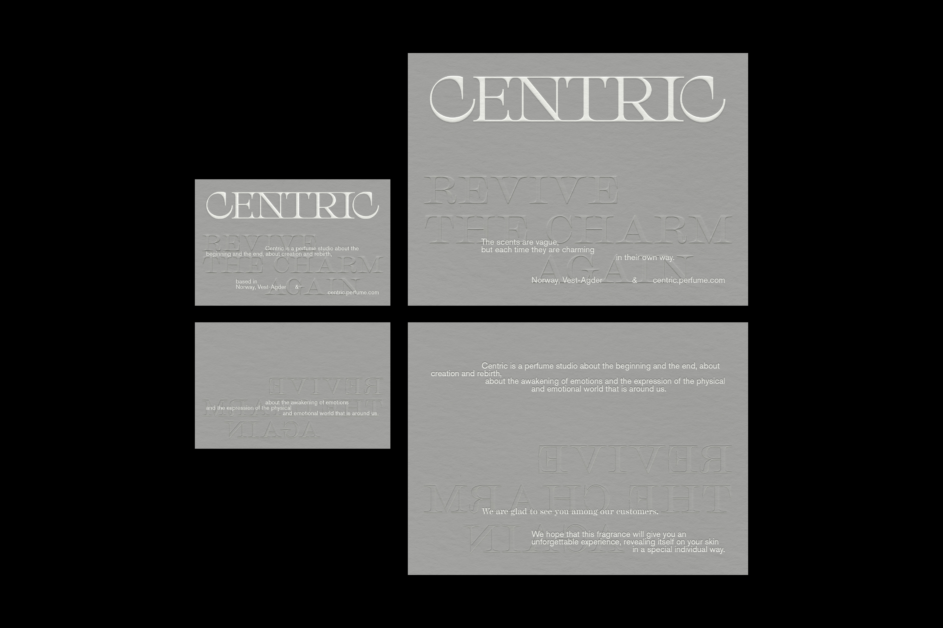 CENTRIC. БРЕНДИНГ. ДИЗАЙН УПАКОВКИ — Изображение №3 — Брендинг, Графика на Dprofile