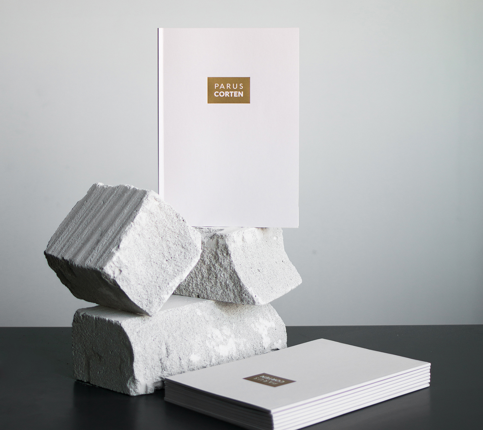 Parus CORTEN — Изображение №1 — Брендинг, Графика на Dprofile