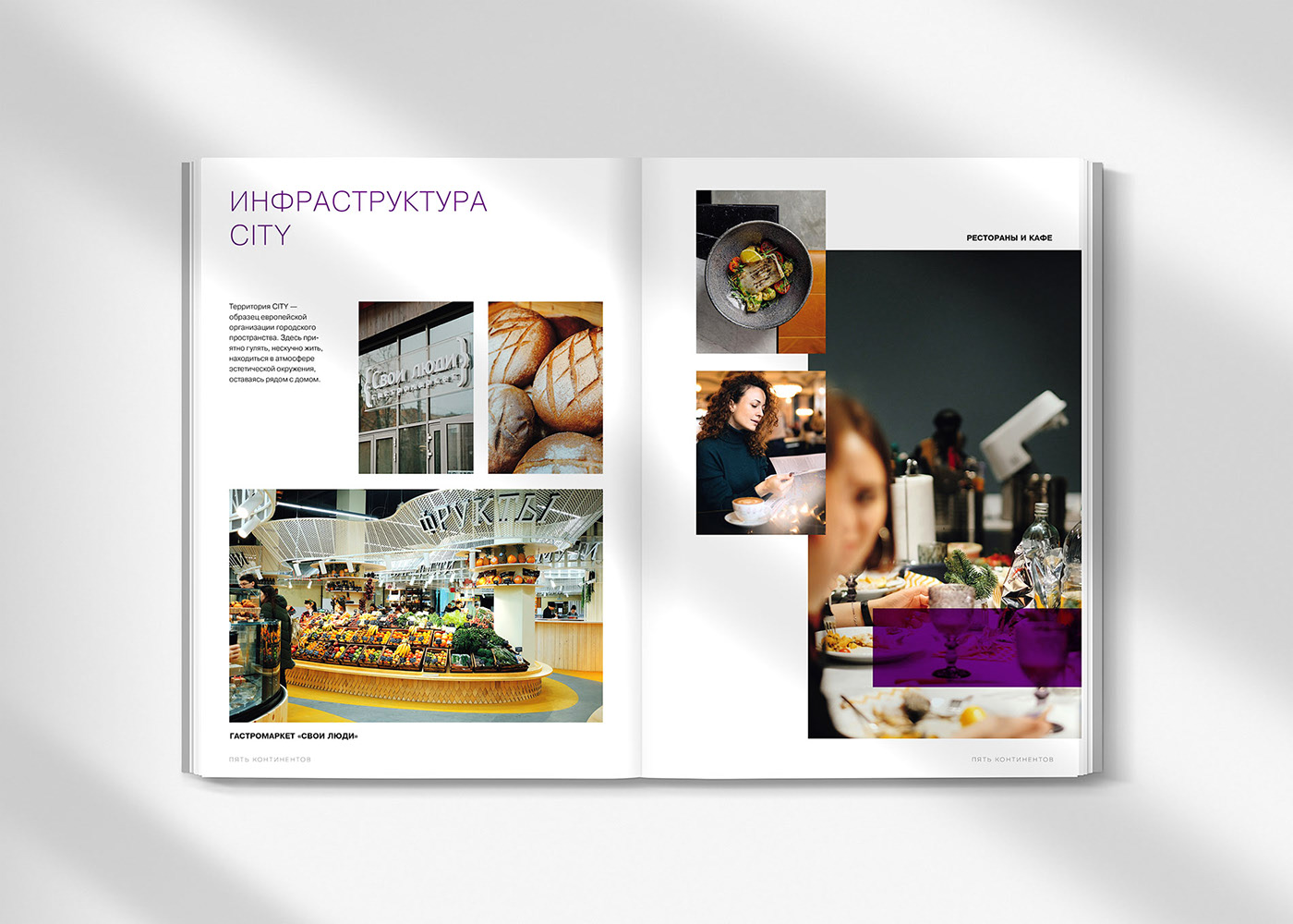 Five Continents. Brochure — Изображение №4 — Брендинг, Графика на Dprofile