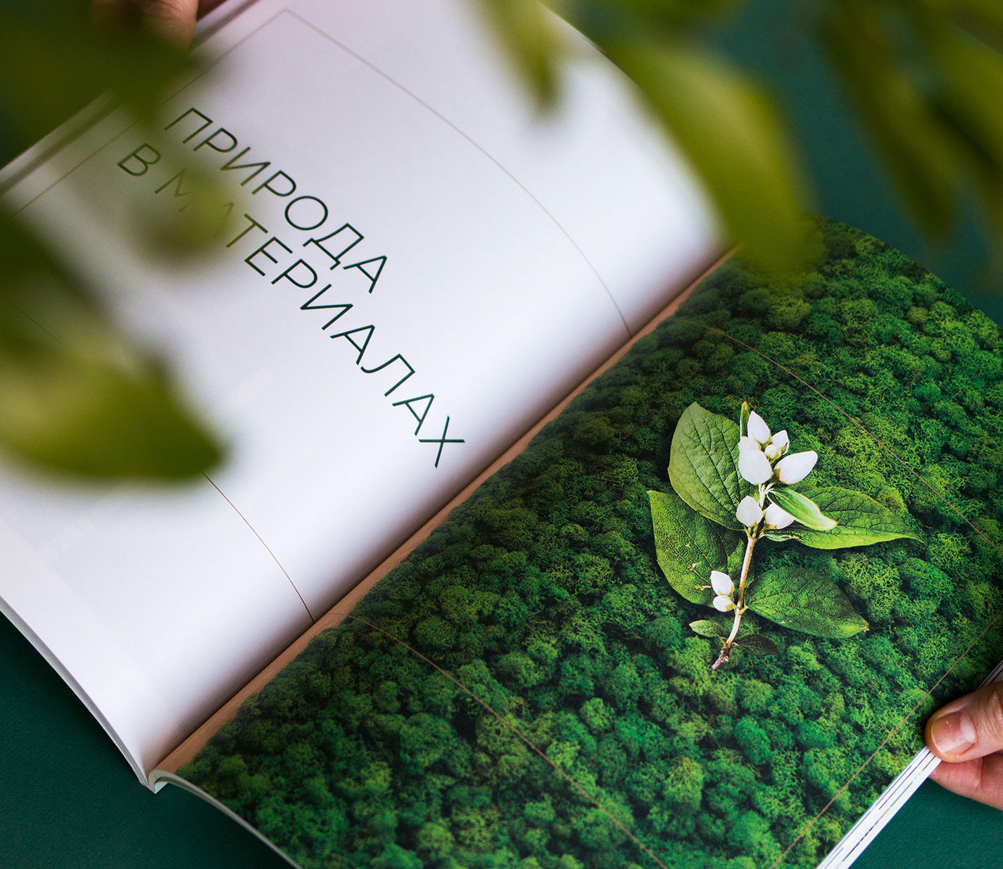 Eco Life — Изображение №13 — Брендинг, Графика на Dprofile