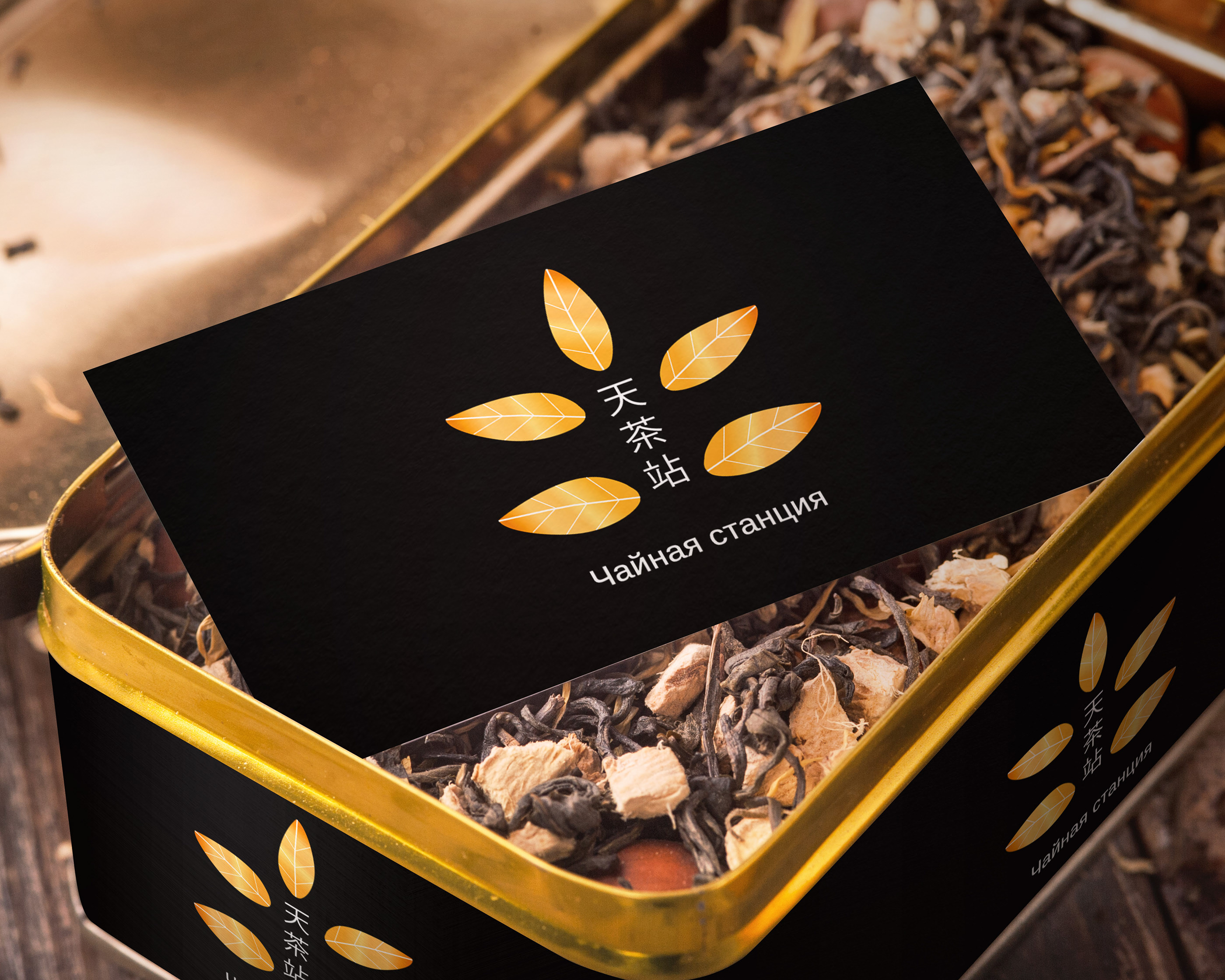 Логотип для компании китайского чая — Изображение №6 — Графика на Dprofile