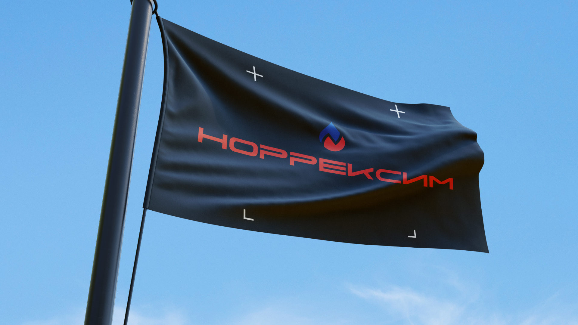 НОРРЕКСИМ  | Branding — Изображение №10 — Брендинг, Графика на Dprofile