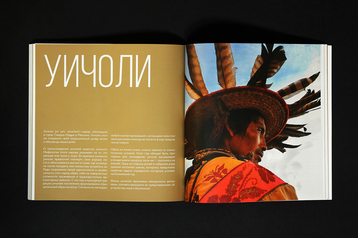 Эльдорадо. Сокровища индейцев — Изображение №38 — Графика на Dprofile