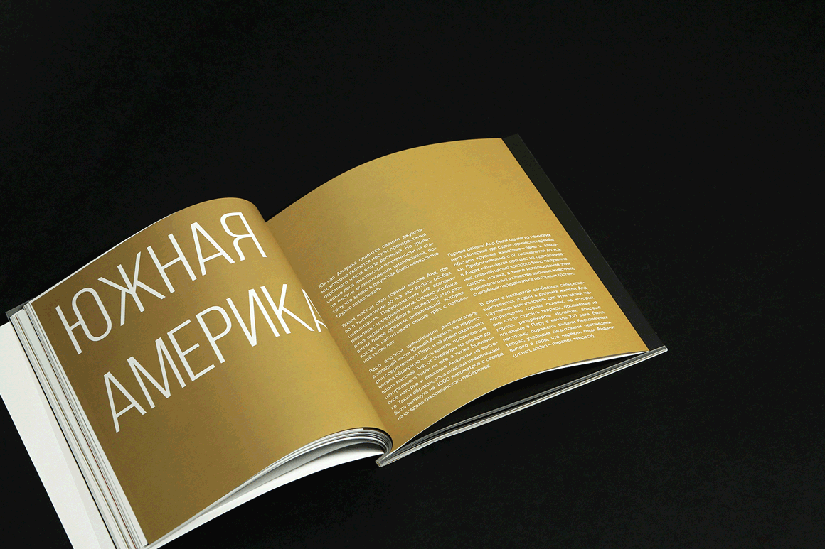 Эльдорадо. Сокровища индейцев — Изображение №25 — Графика на Dprofile