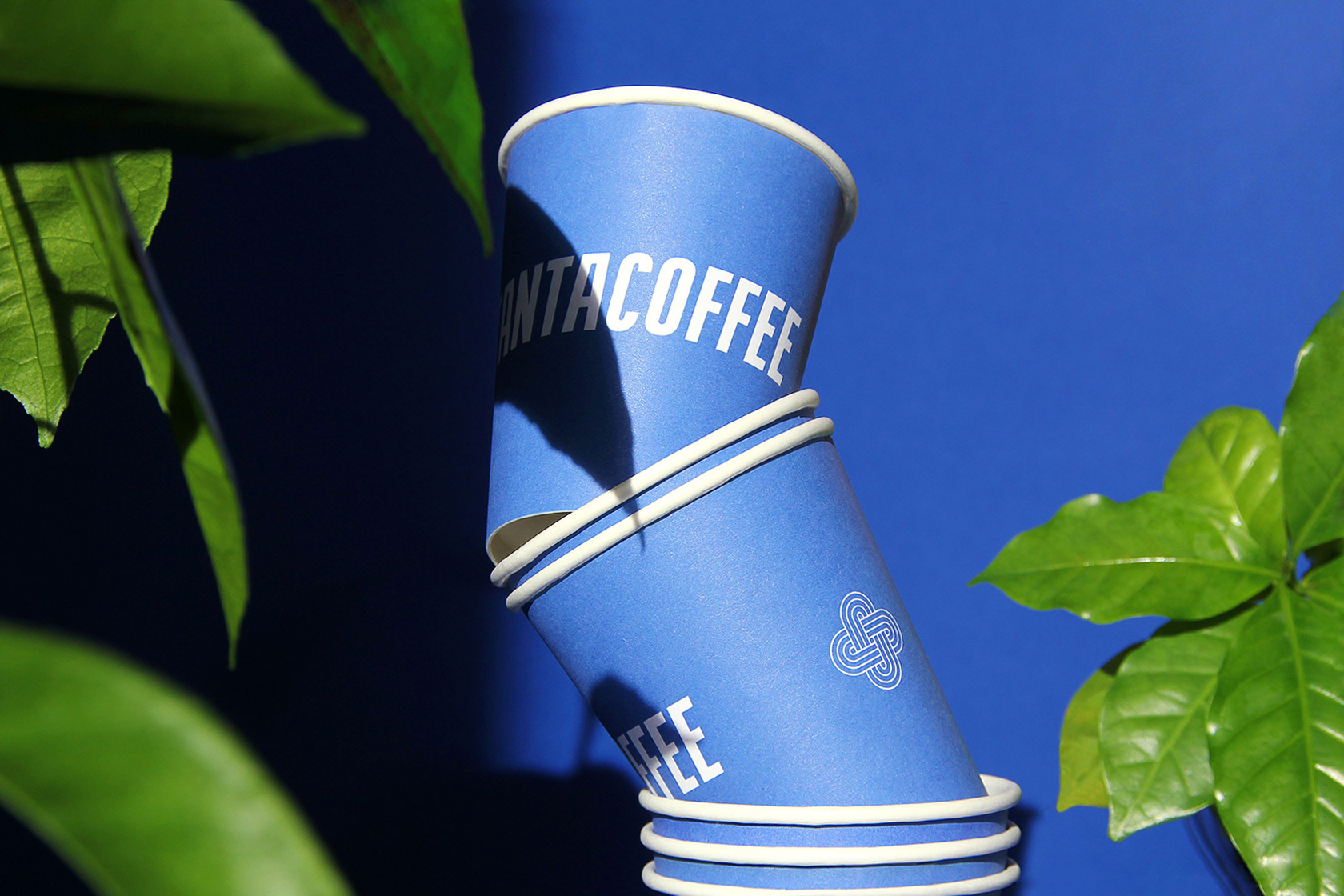 Konstantacoffee. Обжарочное производство — Изображение №1 — Брендинг на Dprofile