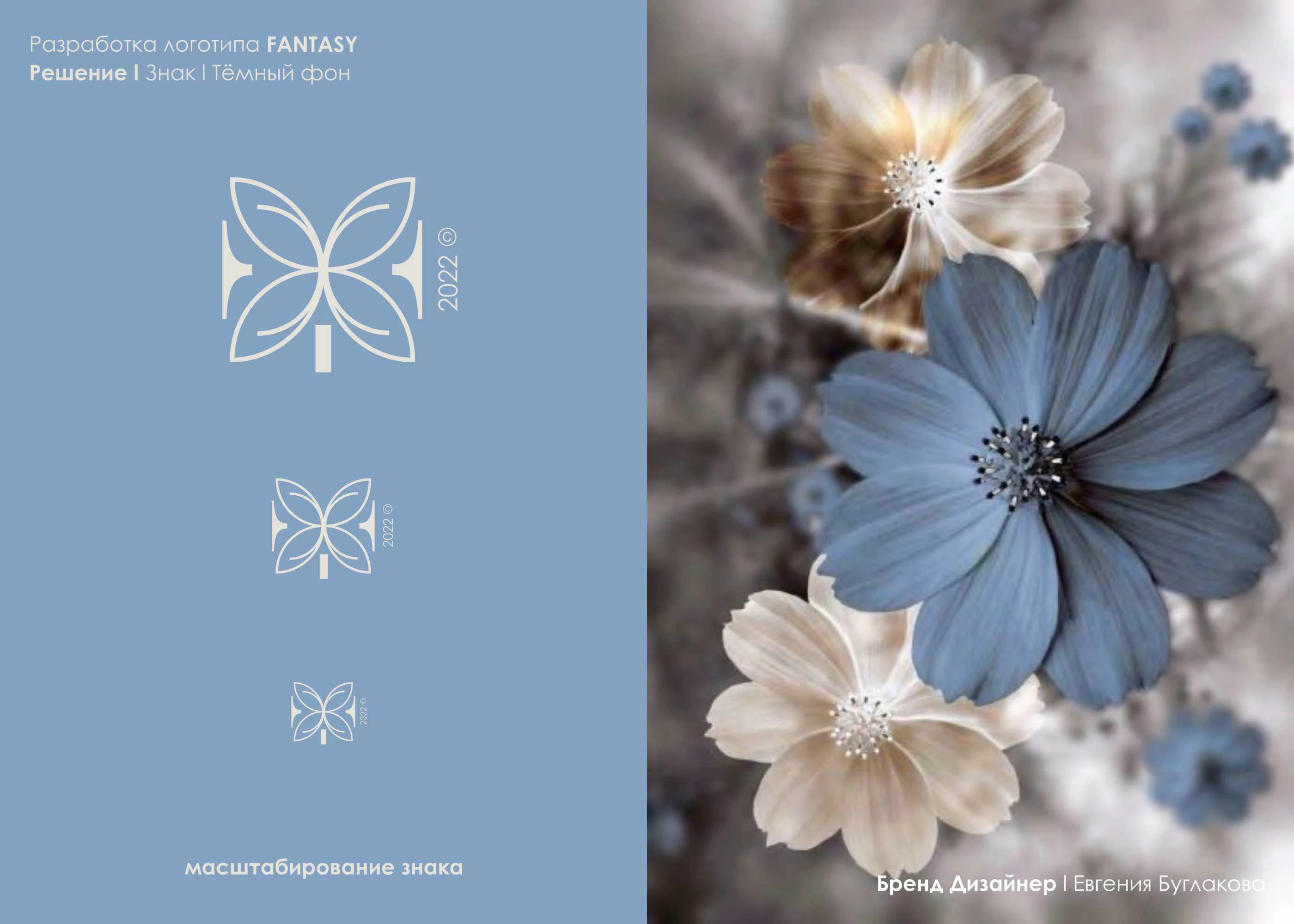 Разработка Логотипа — Изображение №9 — Брендинг на Dprofile