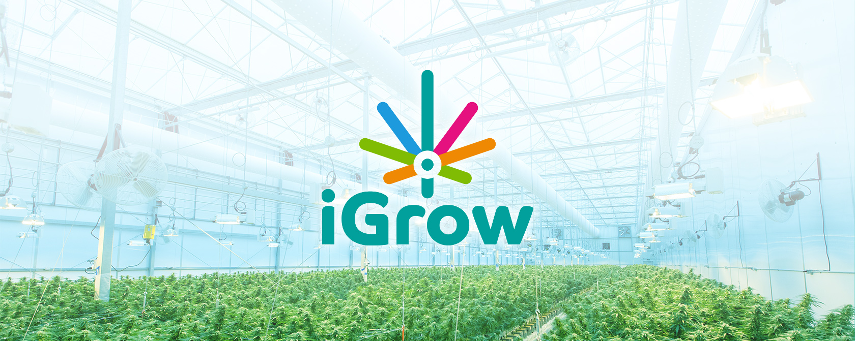 Фирменный стиль и упаковка для производителя удобрений iGrow — Изображение №1 — Брендинг, Графика на Dprofile