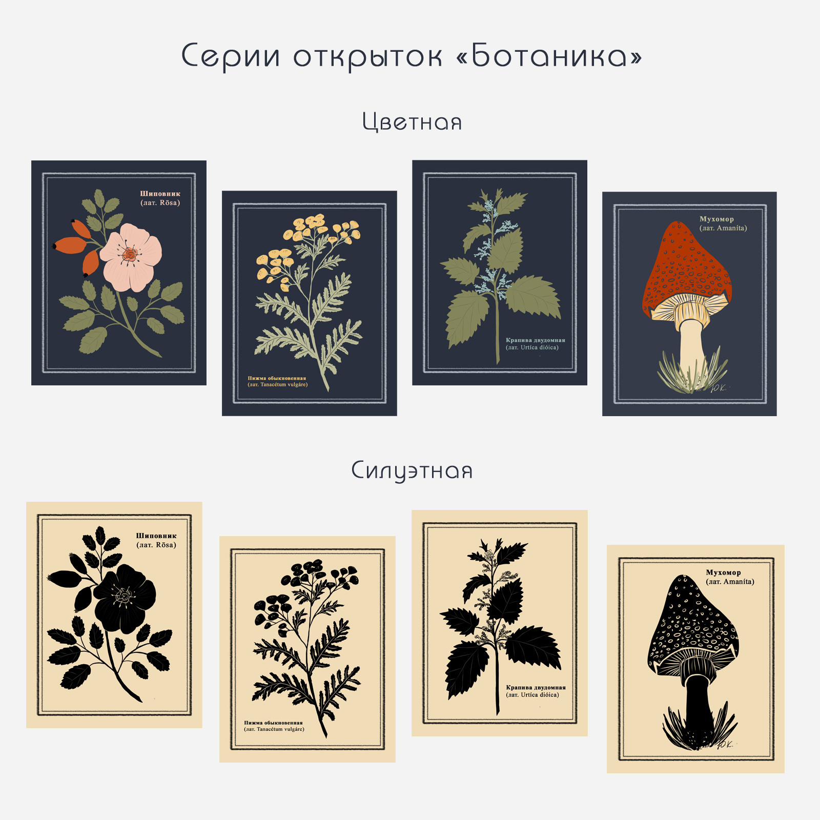Стилизованная ботаника — Изображение №1 — Иллюстрация, Графика на Dprofile