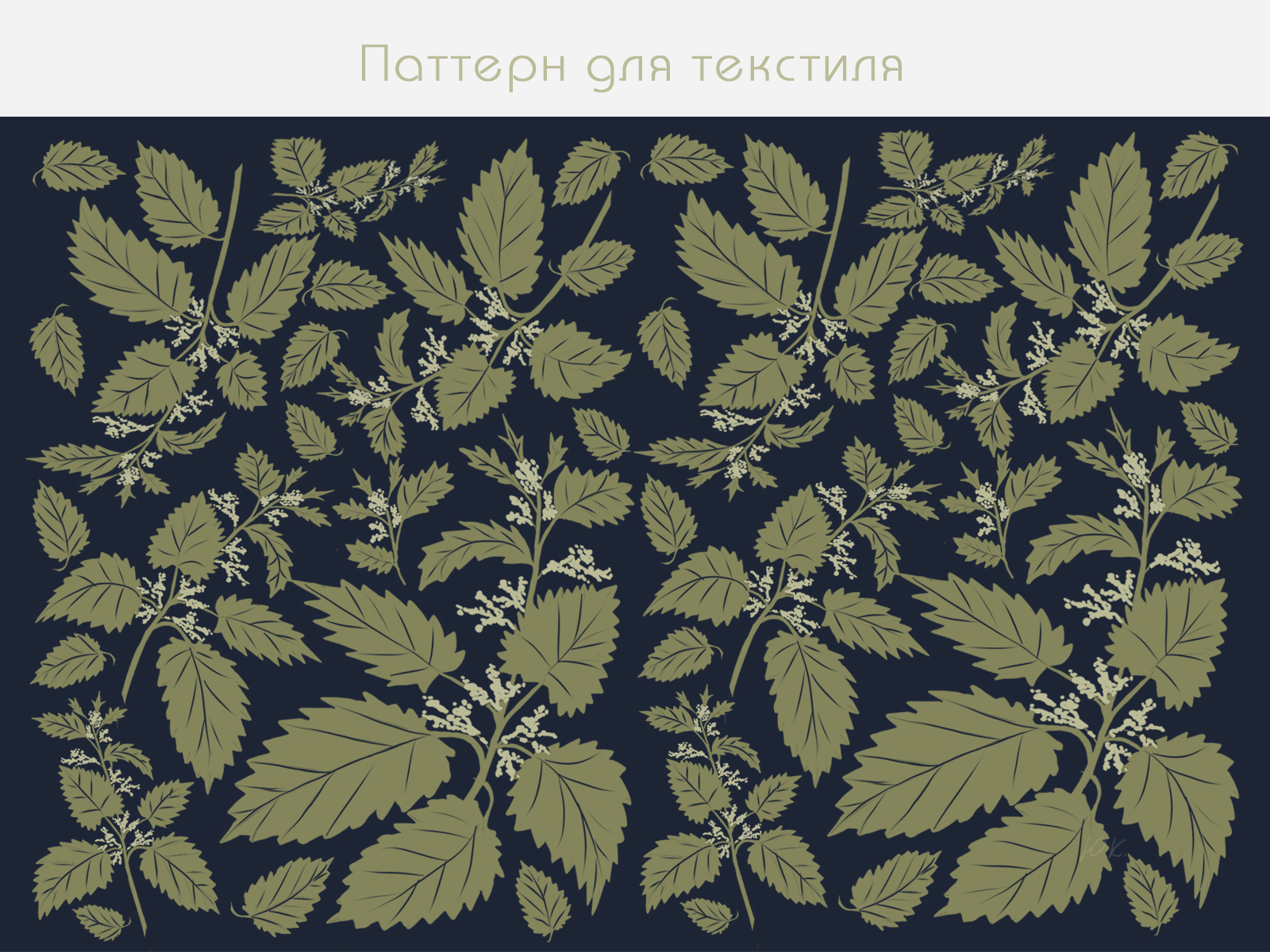 Паттерн с крапивой для упаковки и текстиля — Изображение №4 — Брендинг, Графика на Dprofile