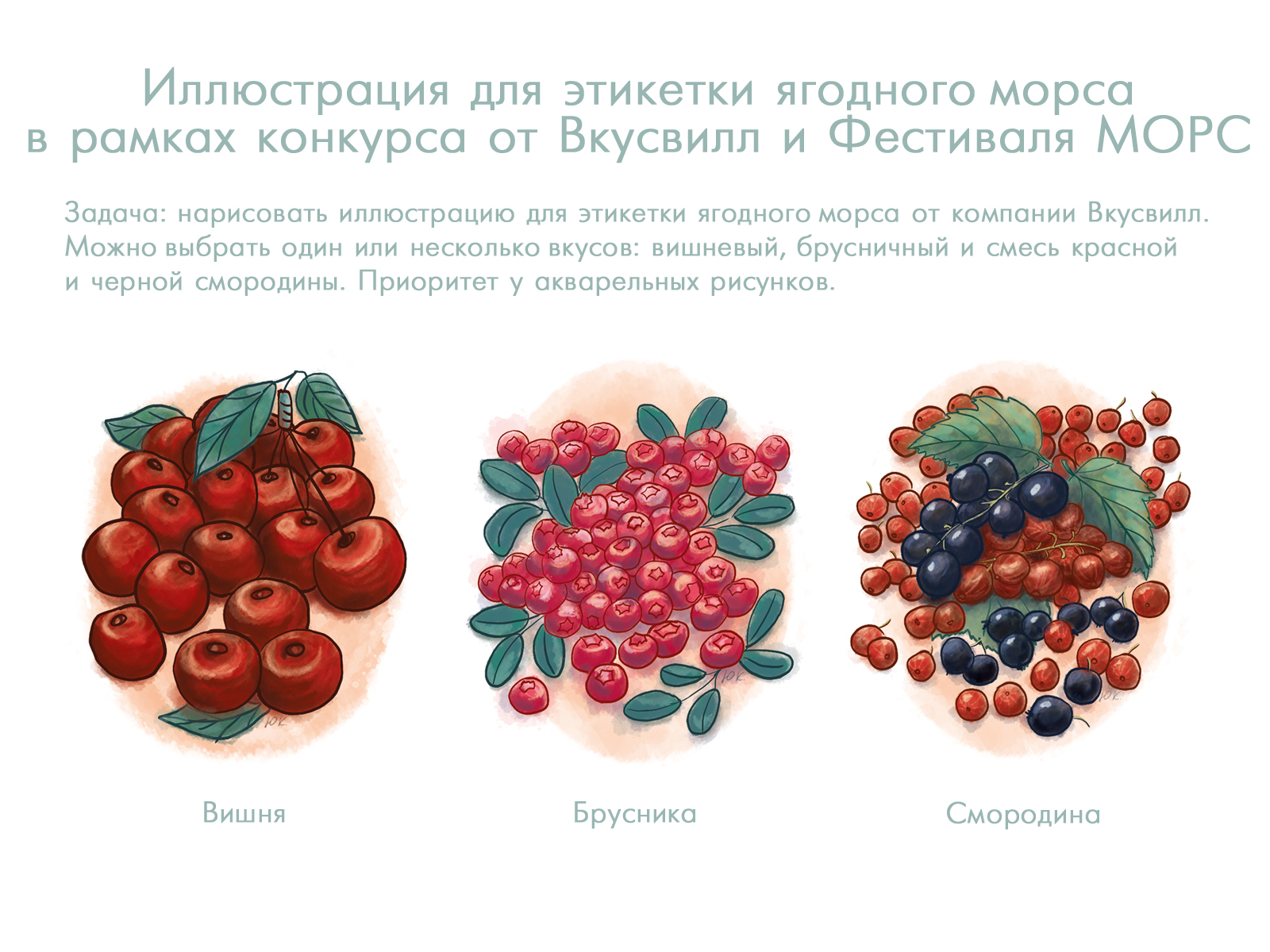 Иллюстрация для морса — Изображение №1 — Брендинг, Иллюстрация на Dprofile