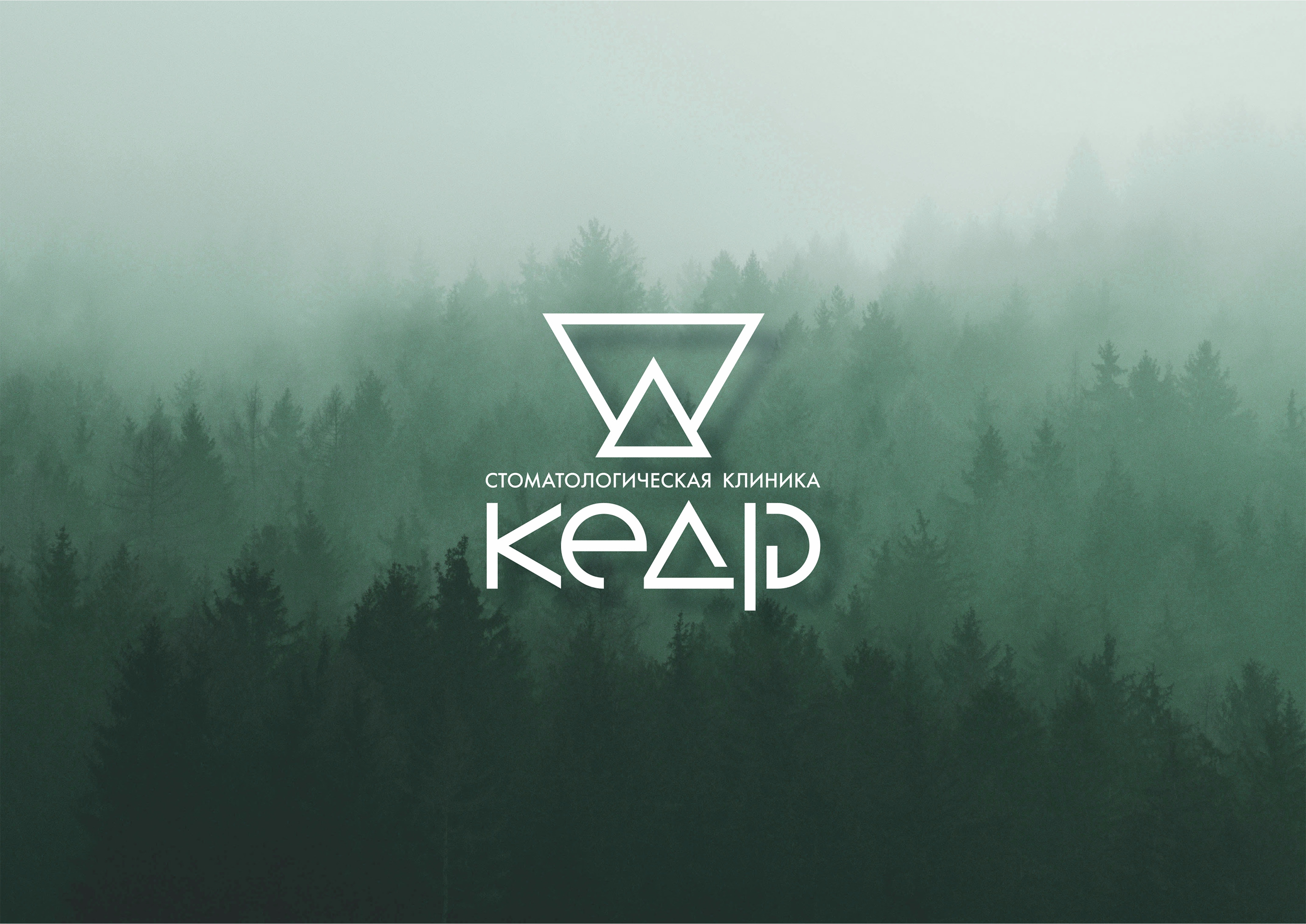 Стоматология «Кедр» — Изображение №1 — Брендинг на Dprofile