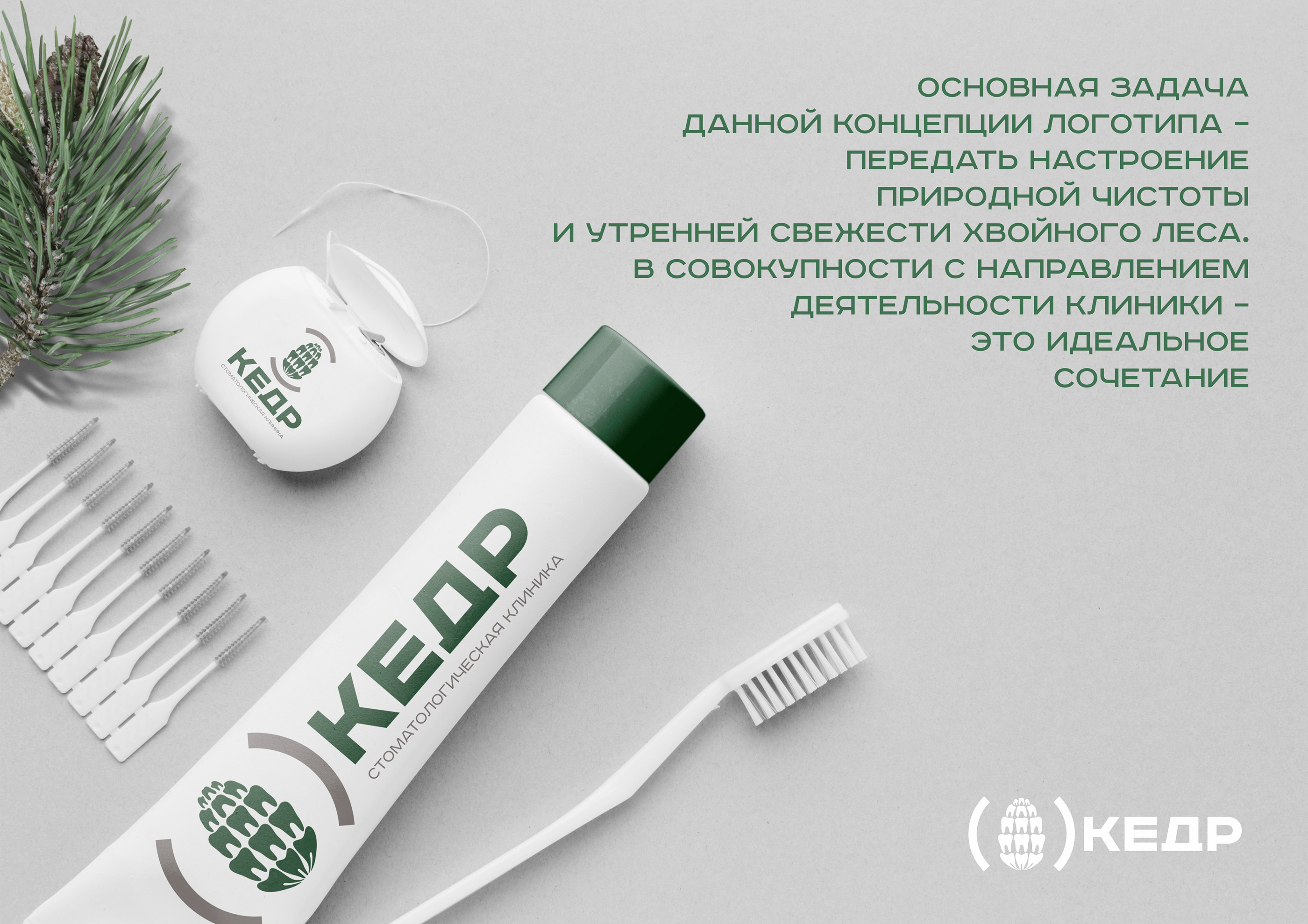 Стоматология «Кедр» — Изображение №11 — Брендинг на Dprofile
