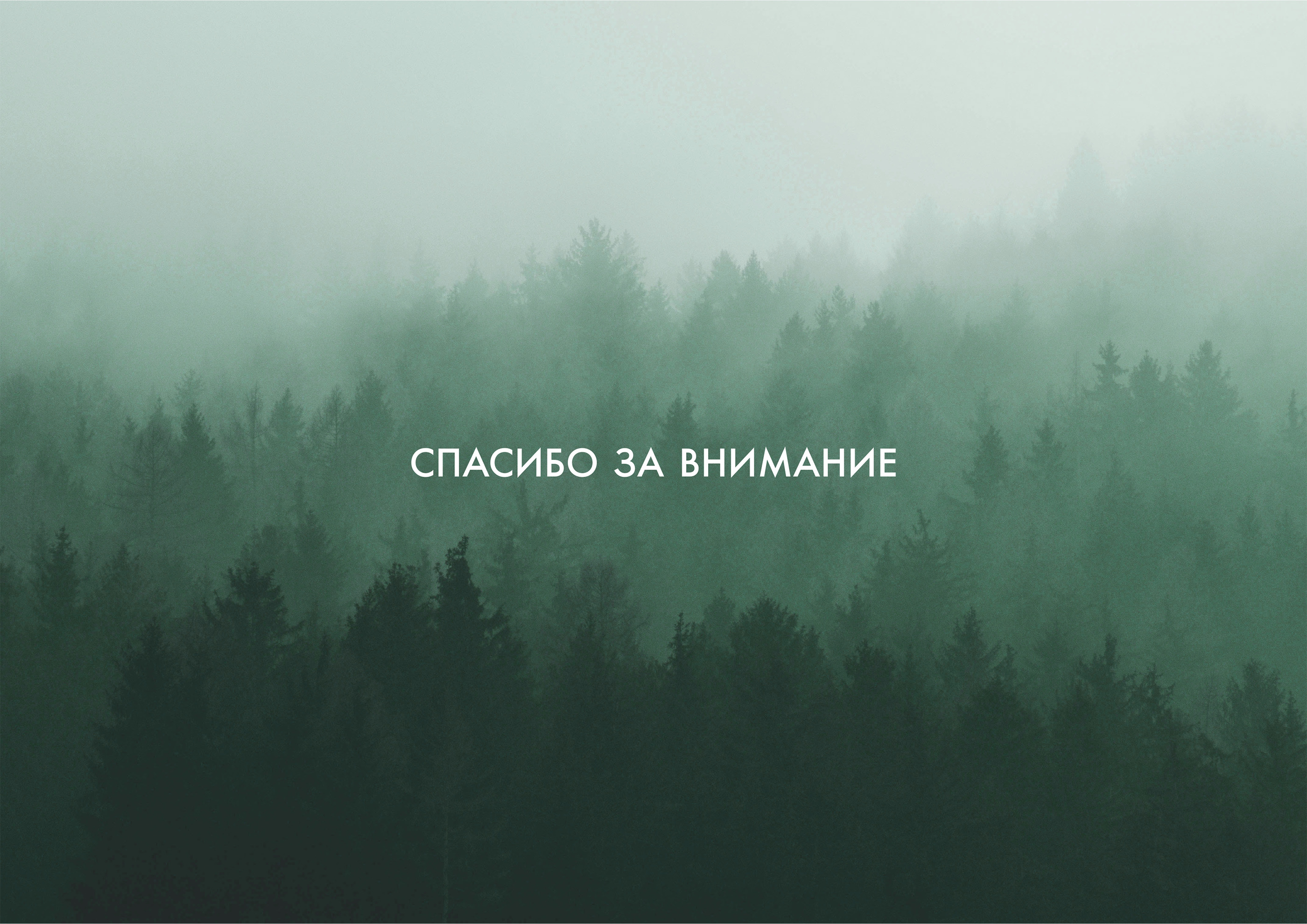 Стоматология «Кедр» — Изображение №14 — Брендинг на Dprofile