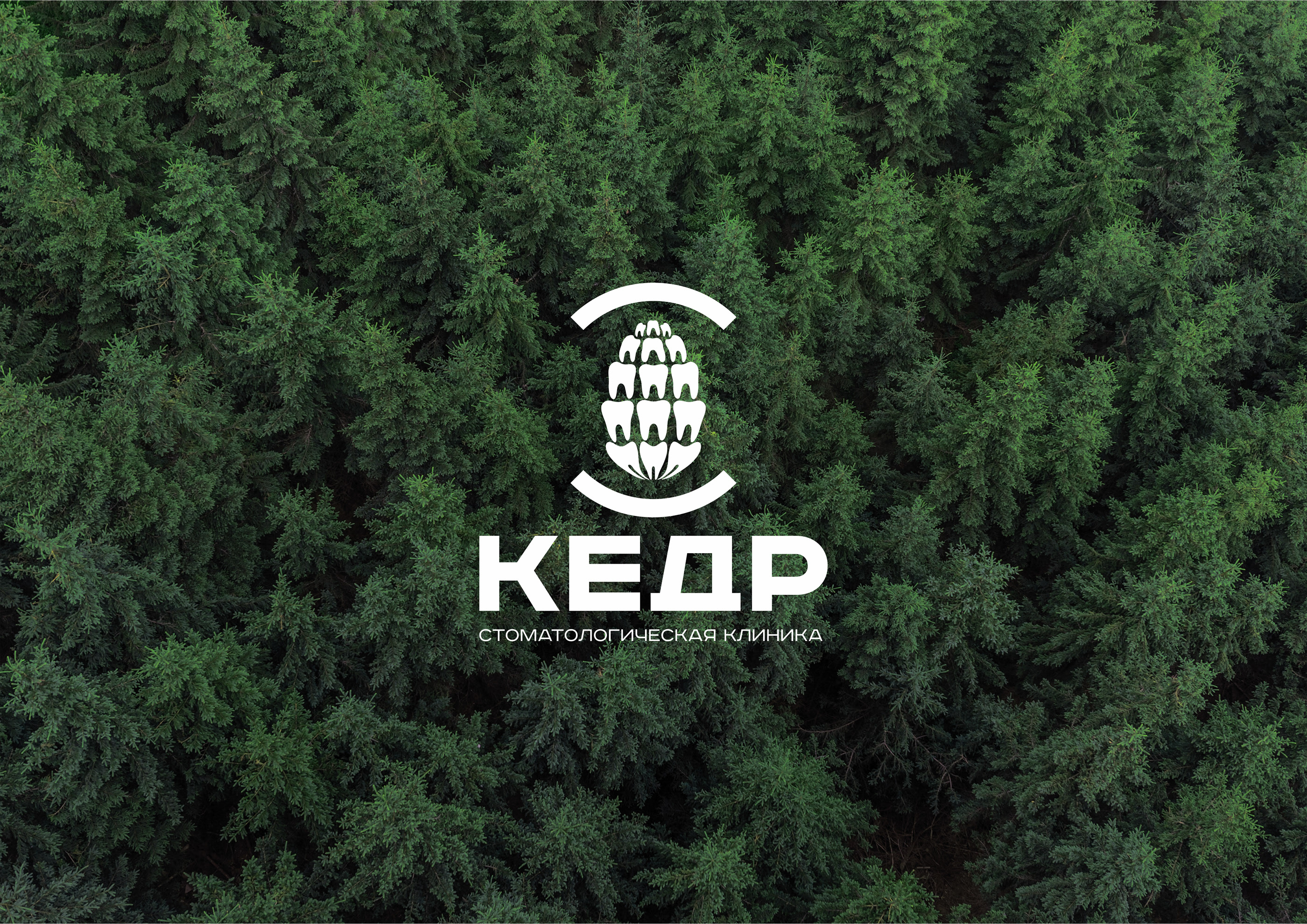 Стоматология «Кедр» — Изображение №7 — Брендинг на Dprofile