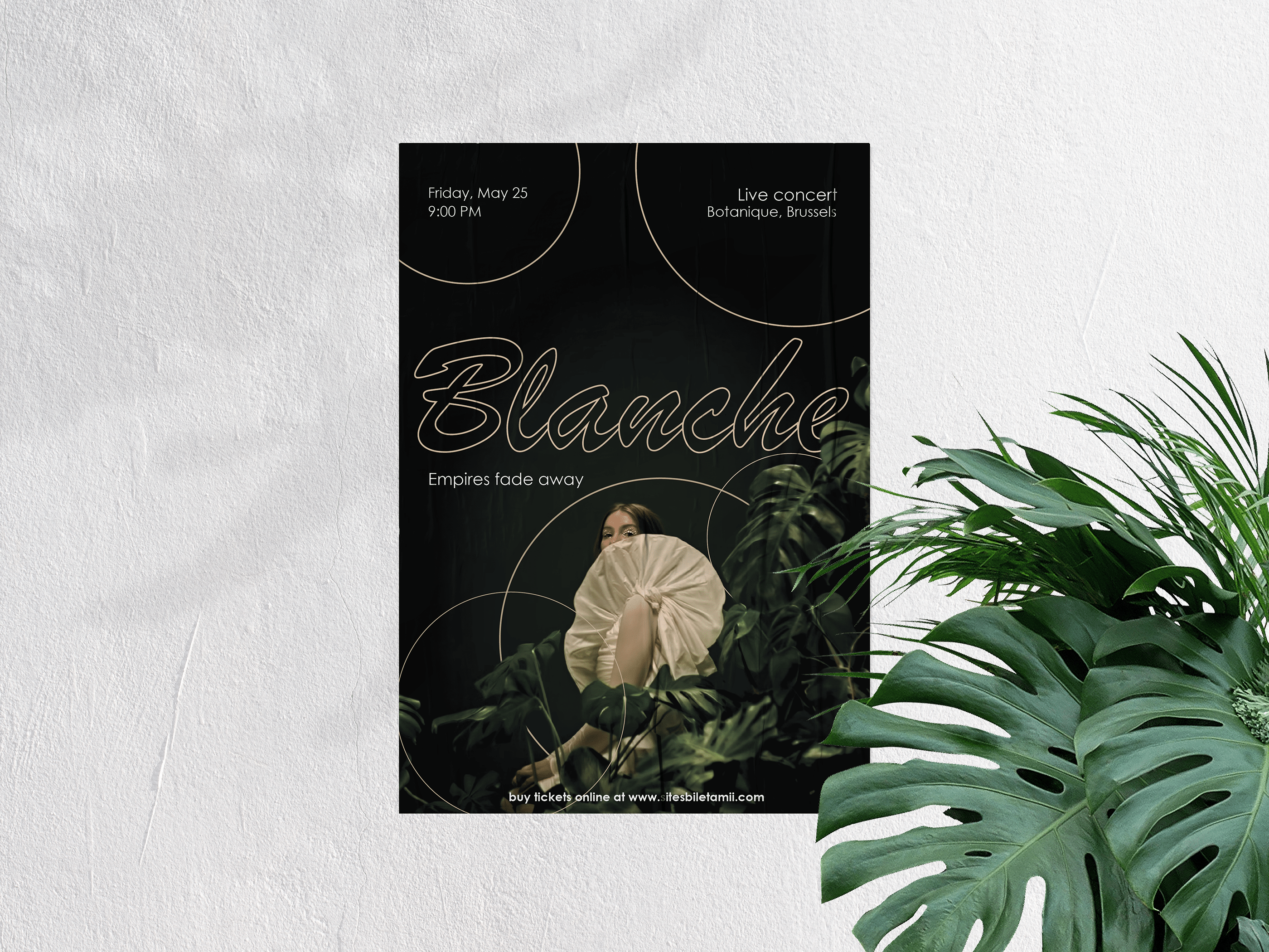 Blanche's concert poster — Изображение №1 — Иллюстрация, Графика на Dprofile
