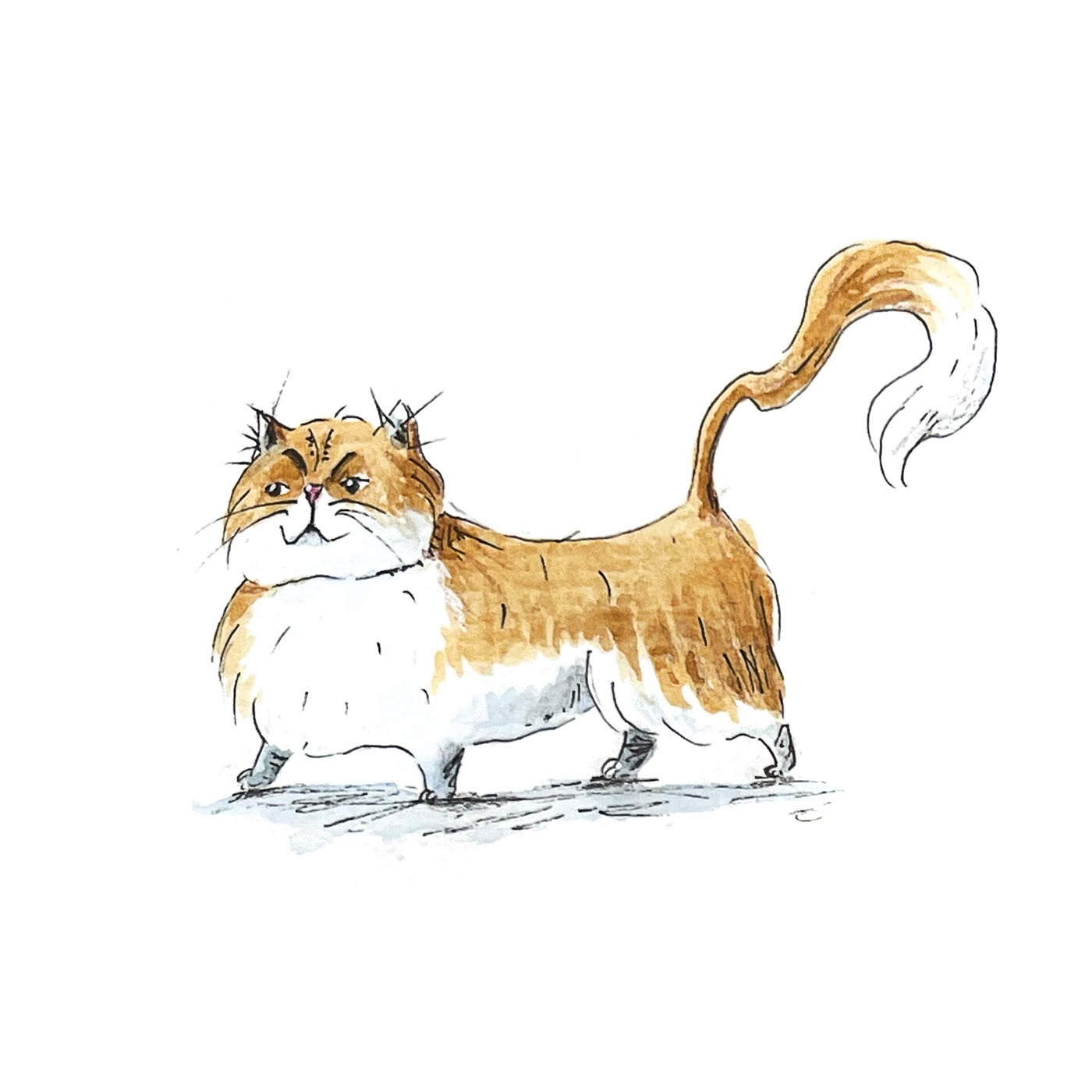 Character drawing in 15 minutes. Cats — Изображение №9 — Иллюстрация на Dprofile