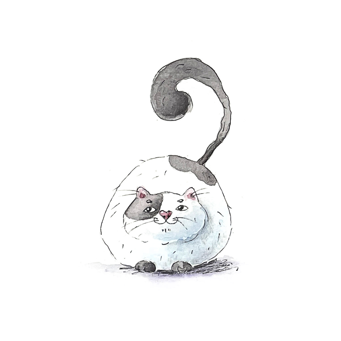 Character drawing in 15 minutes. Cats — Изображение №2 — Иллюстрация на Dprofile