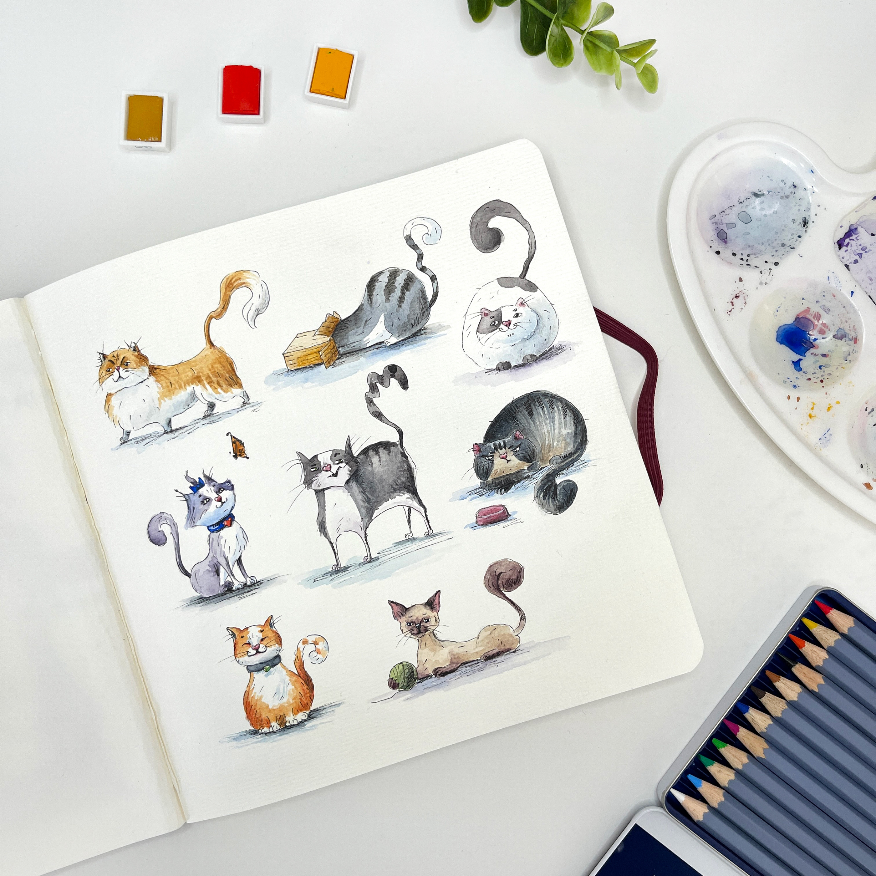 Character drawing in 15 minutes. Cats — Изображение №10 — Иллюстрация на Dprofile