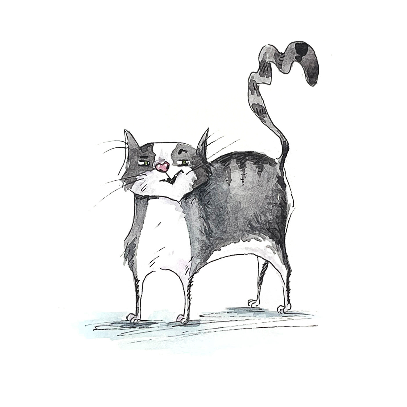 Character drawing in 15 minutes. Cats — Изображение №5 — Иллюстрация на Dprofile