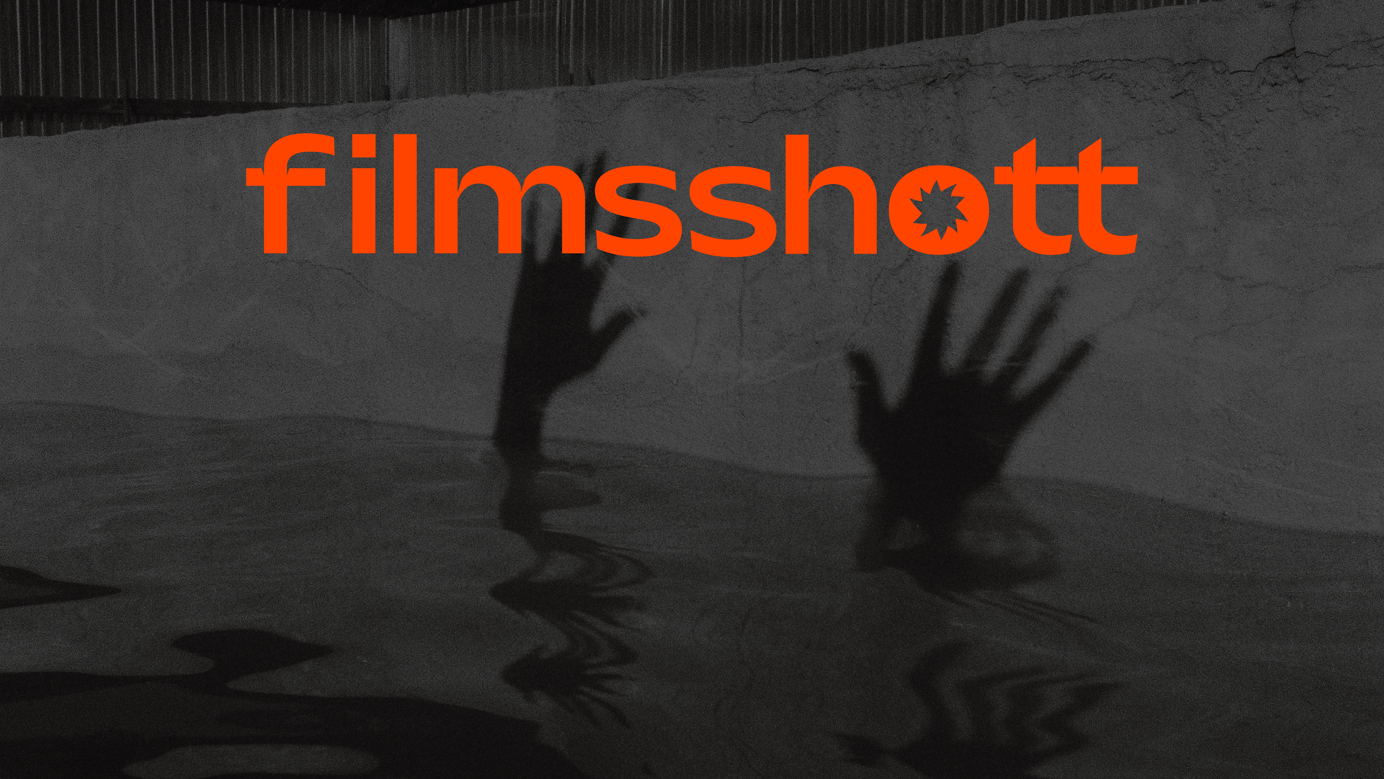 photographer visual identity / filmsshott — Изображение №1 — Брендинг на Dprofile