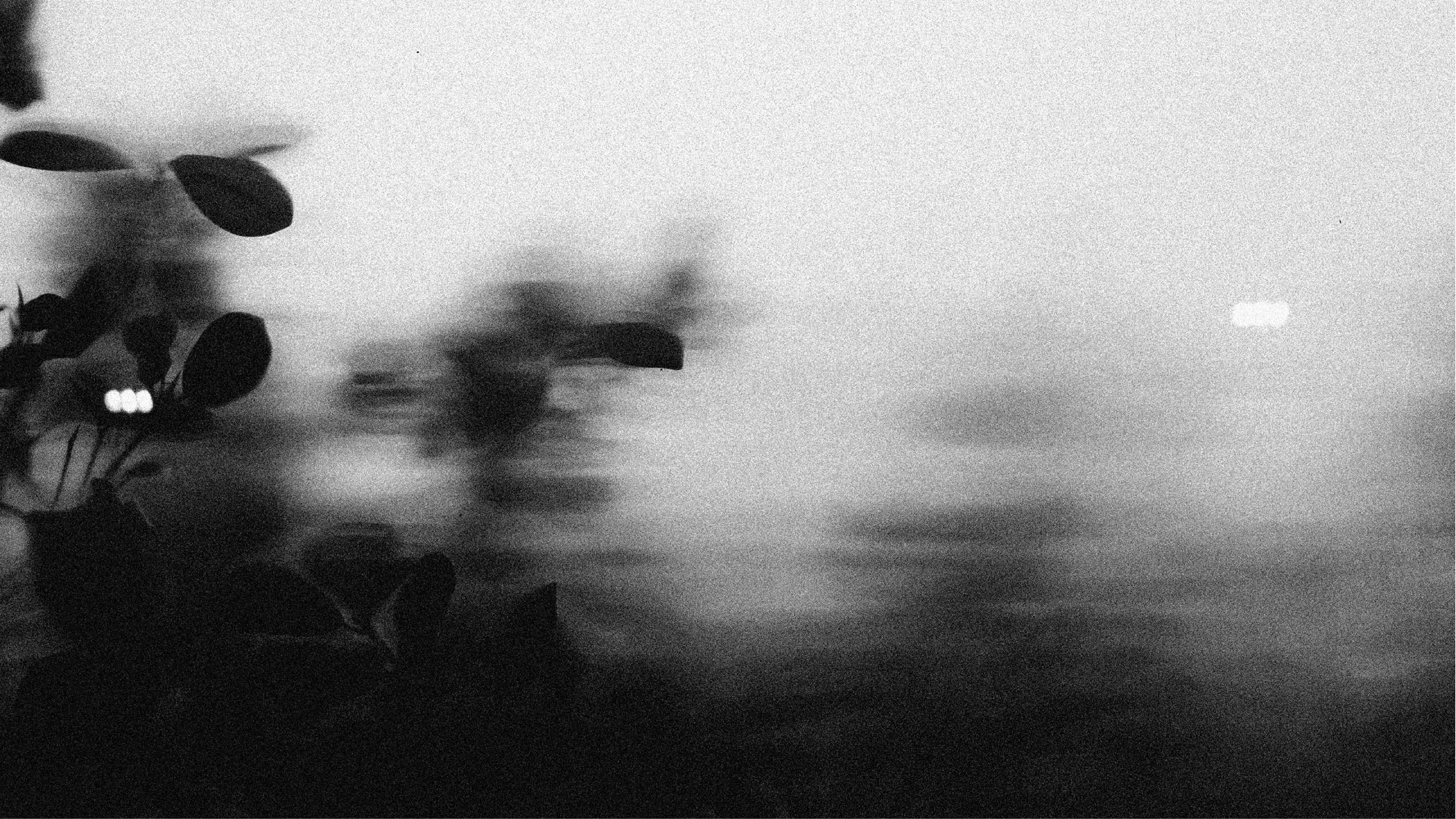 photographer visual identity / filmsshott — Изображение №9 — Брендинг на Dprofile
