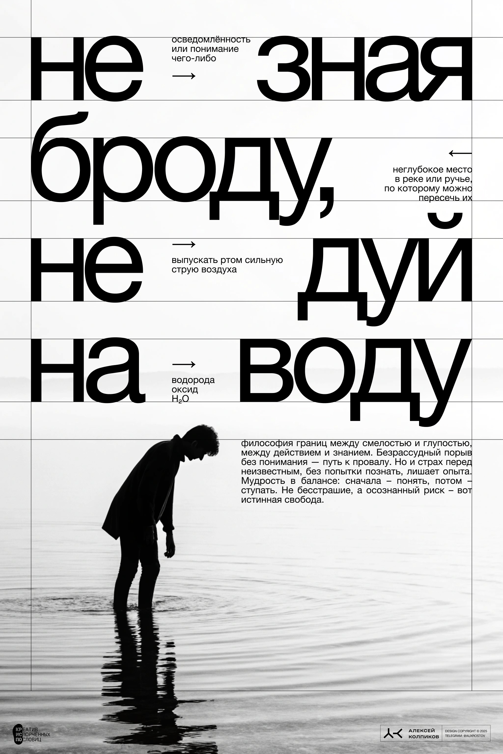 20 плакатов за 2 дня — Изображение №5 — Иллюстрация, Графика на Dprofile