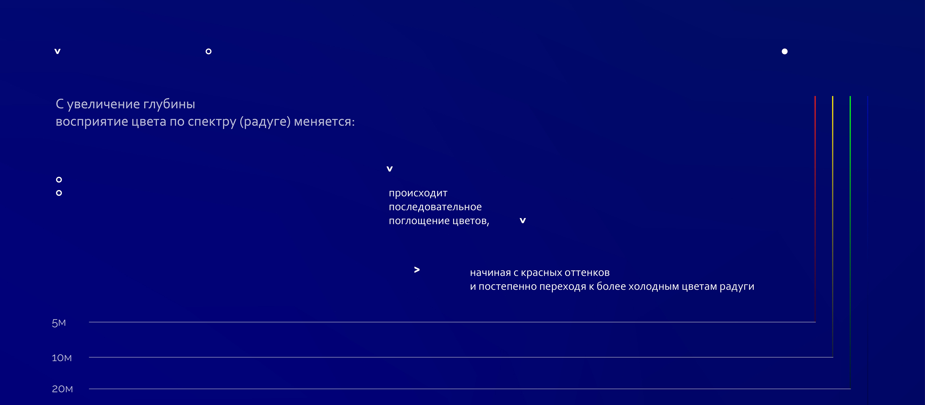 Фридайвинг Тольятти — Изображение №10 — Брендинг, Графика на Dprofile