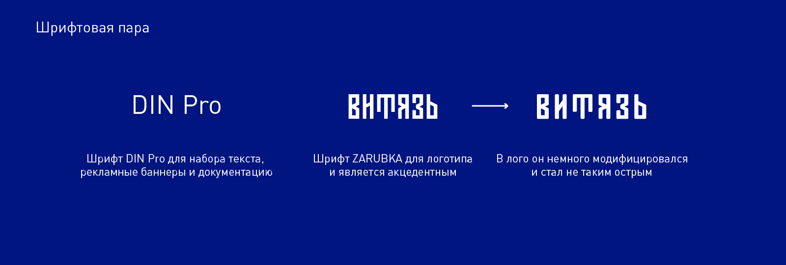 Рестайлинг ХК "Витязь" — Изображение №10 — Брендинг на Dprofile