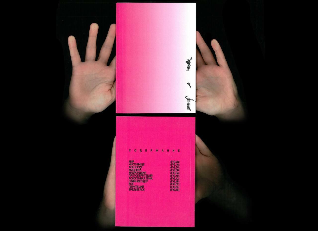 КНИГА О ПРОСТРАНСТВЕ (РИС.1) — Изображение №16 — Брендинг, 3D на Dprofile