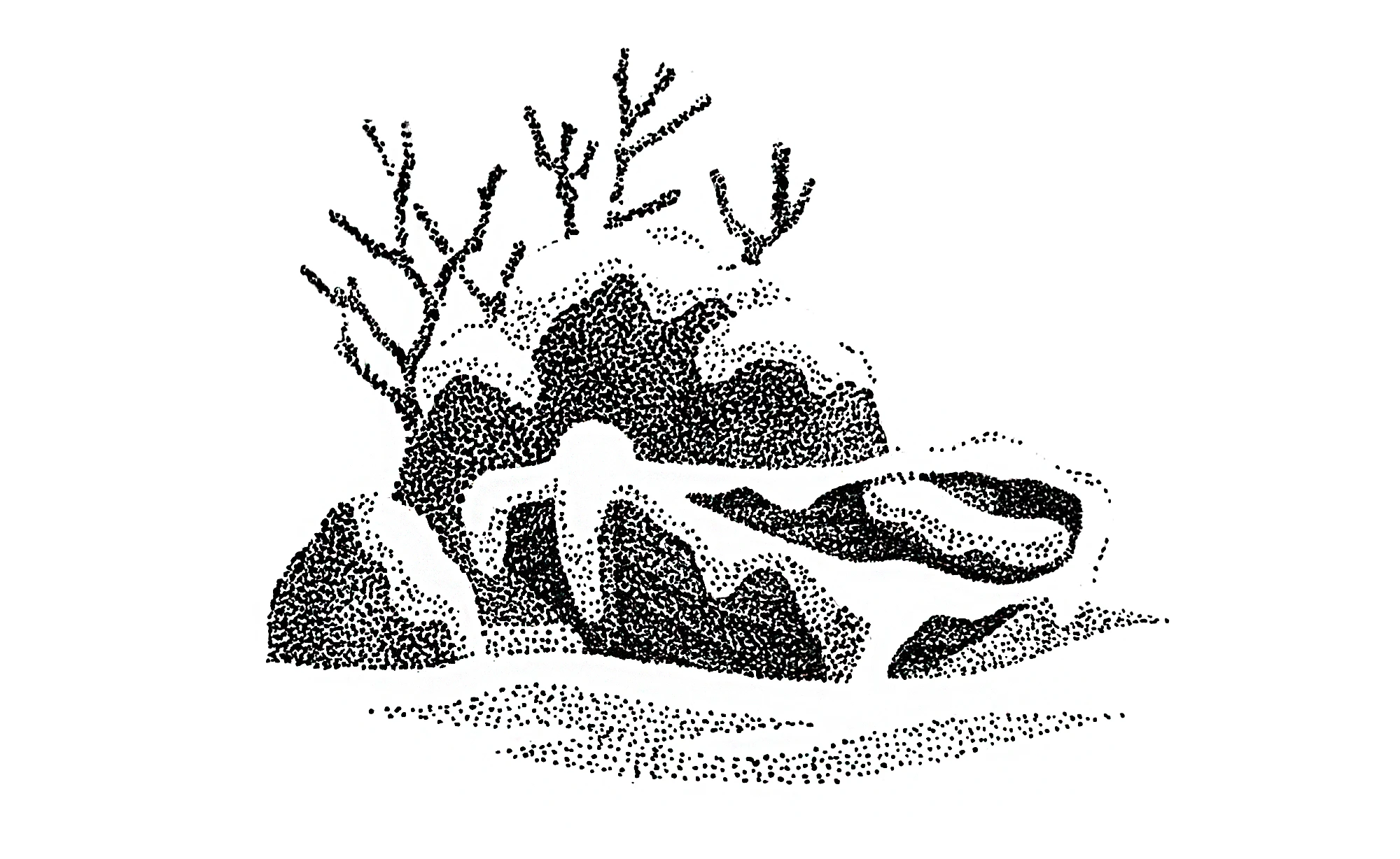 Обложка для книги "Флешбэк" — Изображение №5 — Иллюстрация, Графика на Dprofile