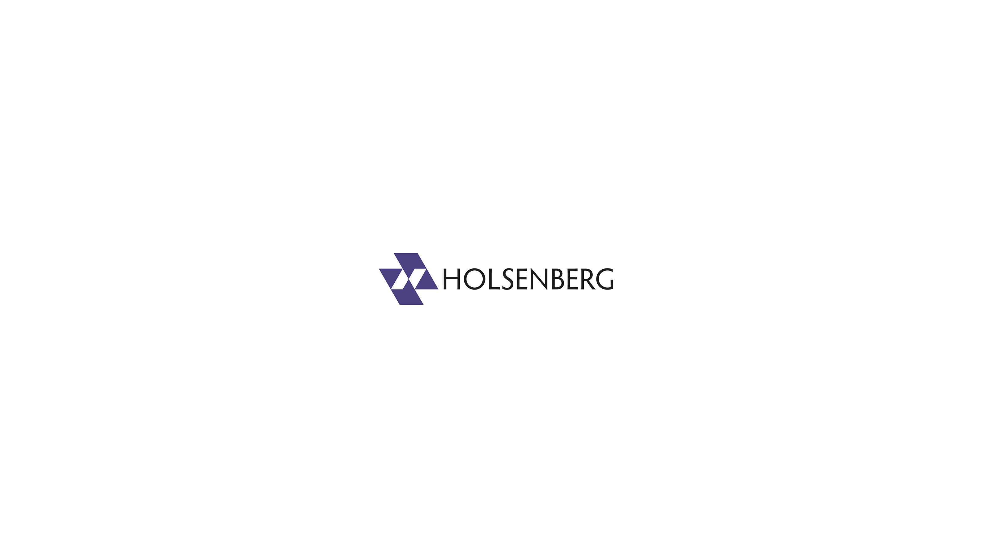 Брендинг для компании Holsenberg — Изображение №2 — Брендинг на Dprofile