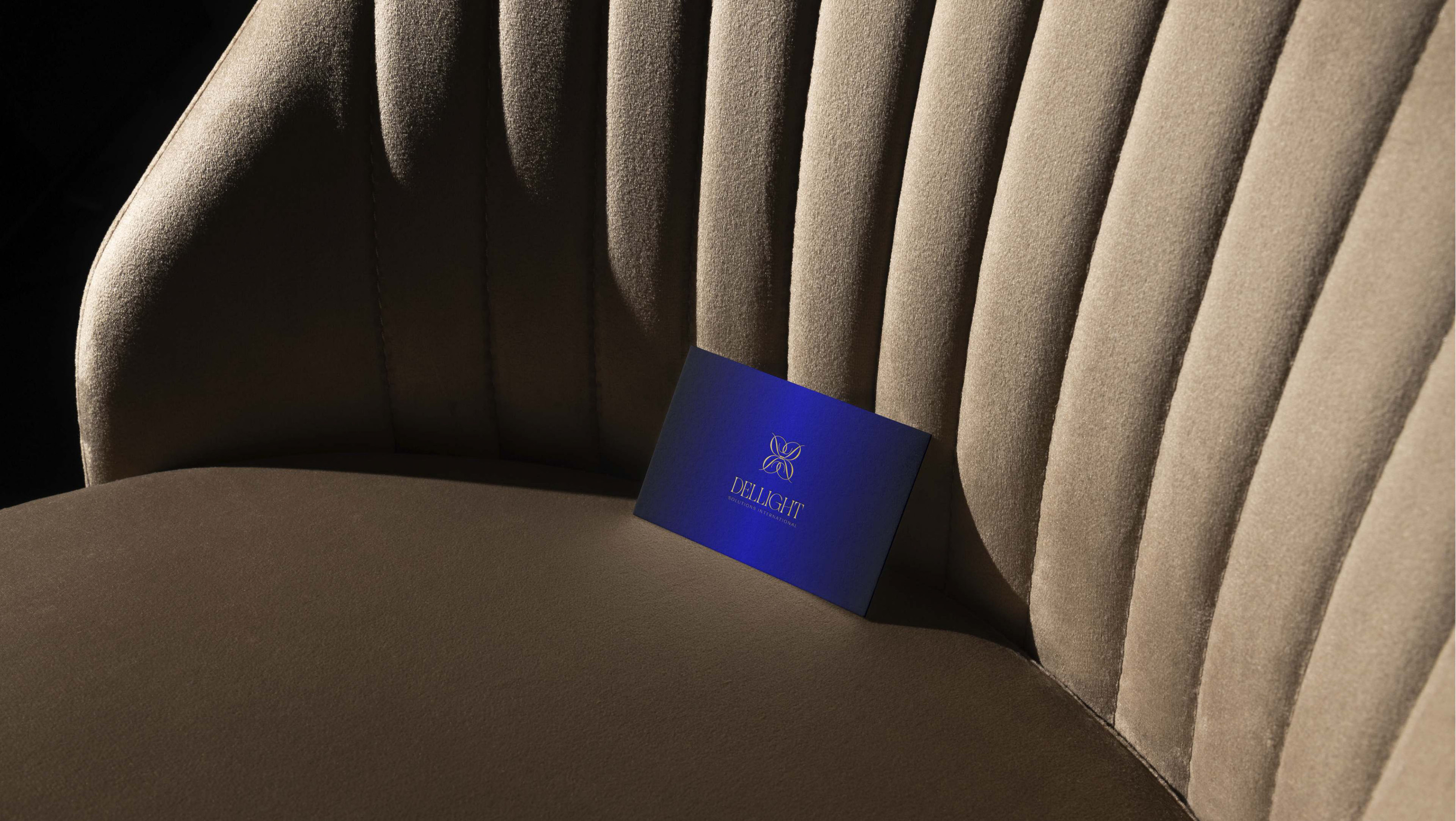 DELLIGHT BRAND IDENTITY — Изображение №11 — Брендинг на Dprofile